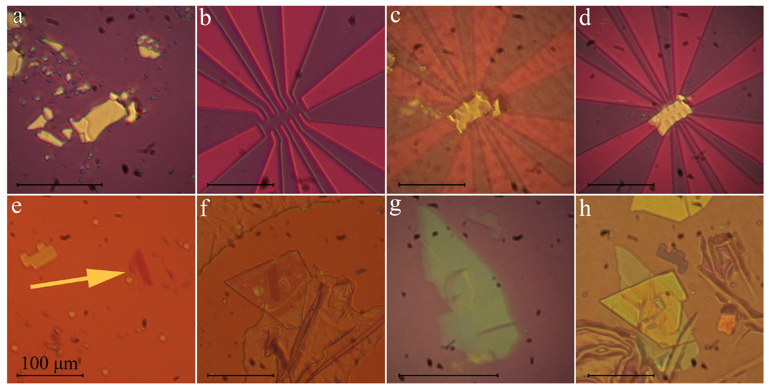 Nanomaterials 10 02305 g005