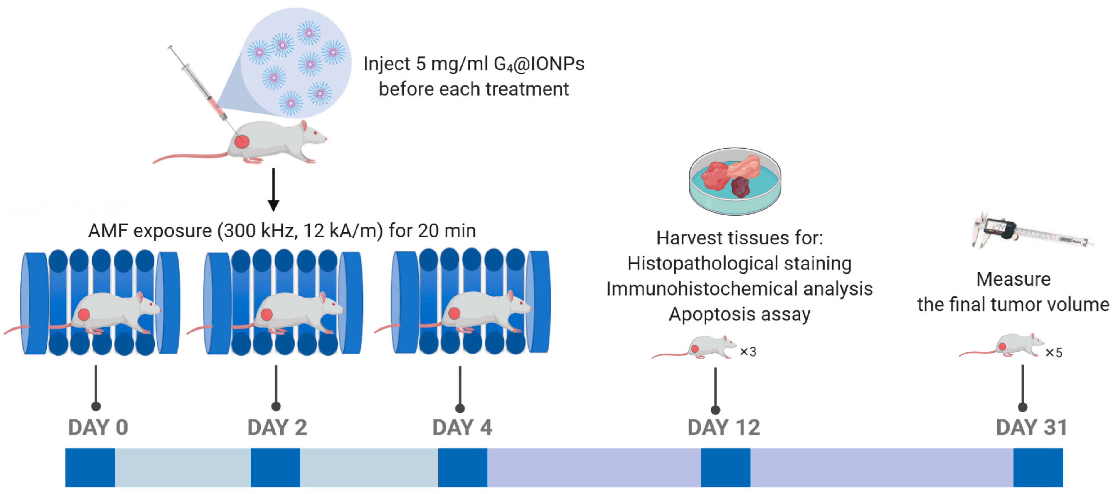 Nanomaterials 10 02310 g001