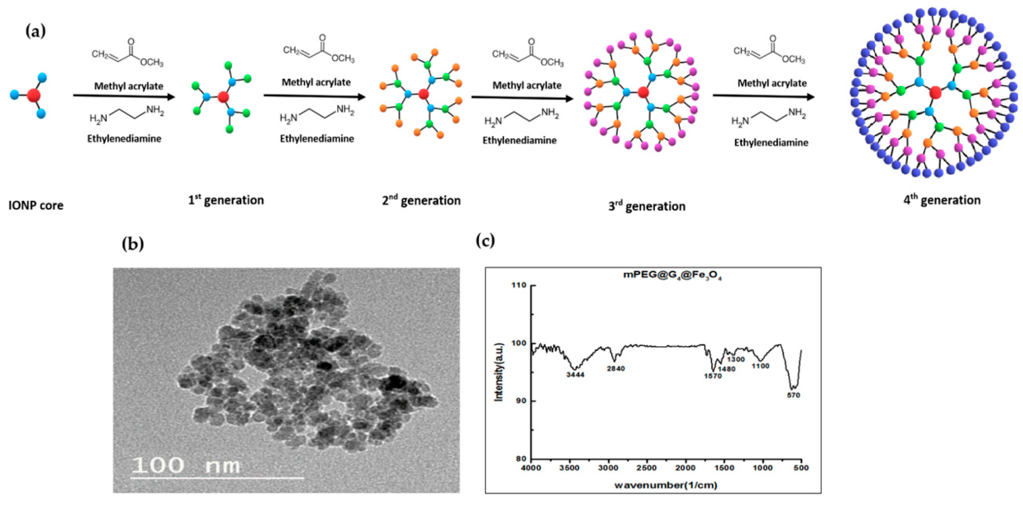 Nanomaterials 10 02310 g002