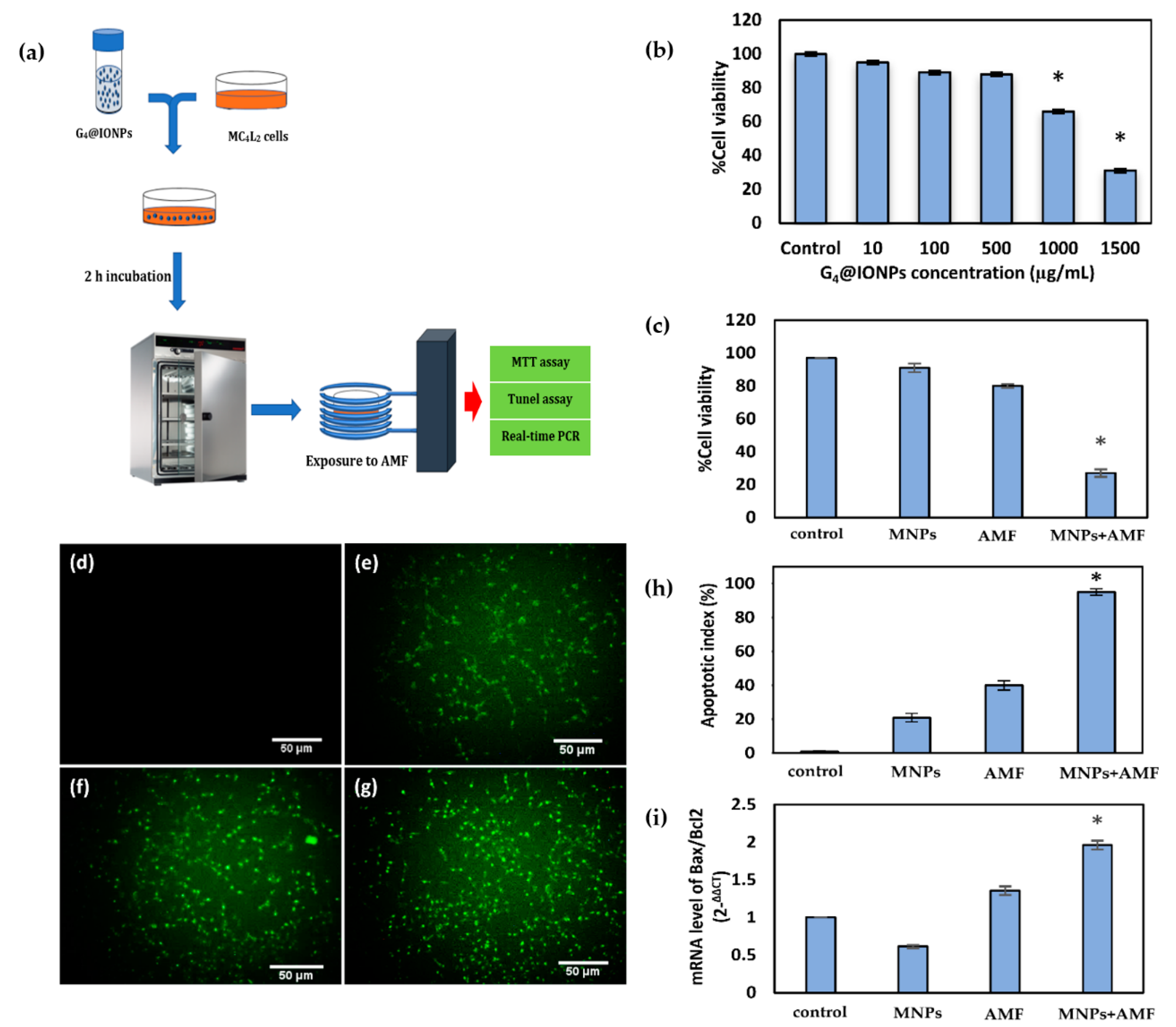 Nanomaterials 10 02310 g003