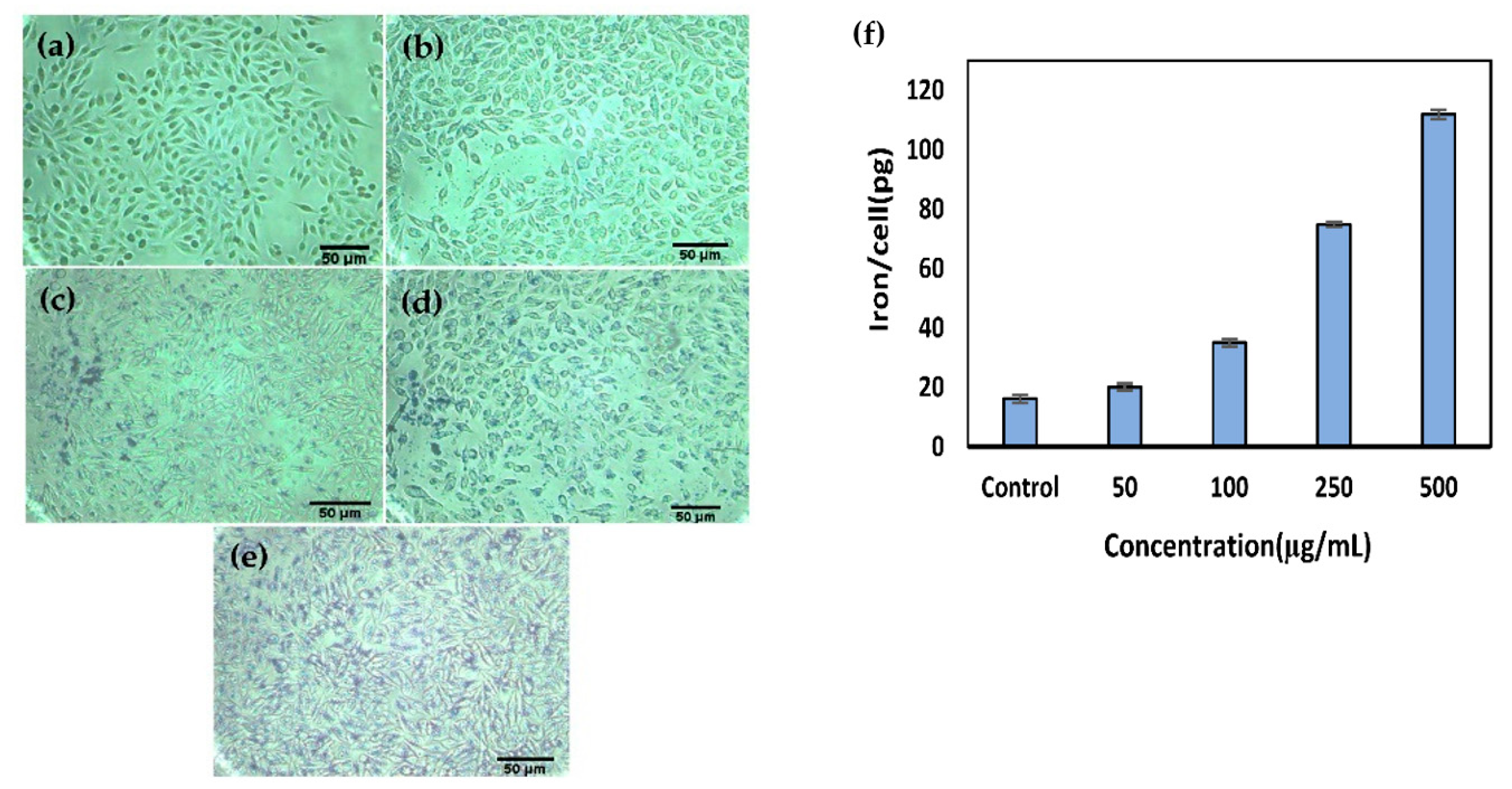 Nanomaterials 10 02310 g004