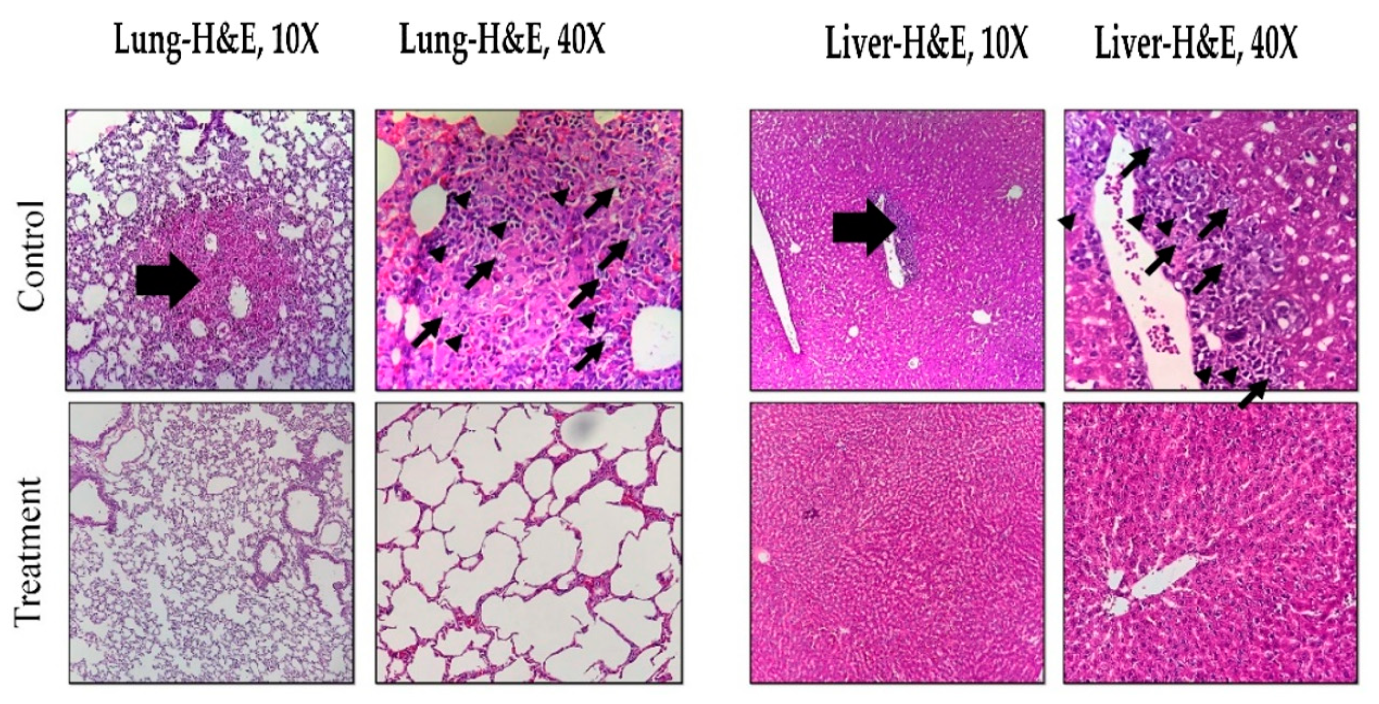 Nanomaterials 10 02310 g005