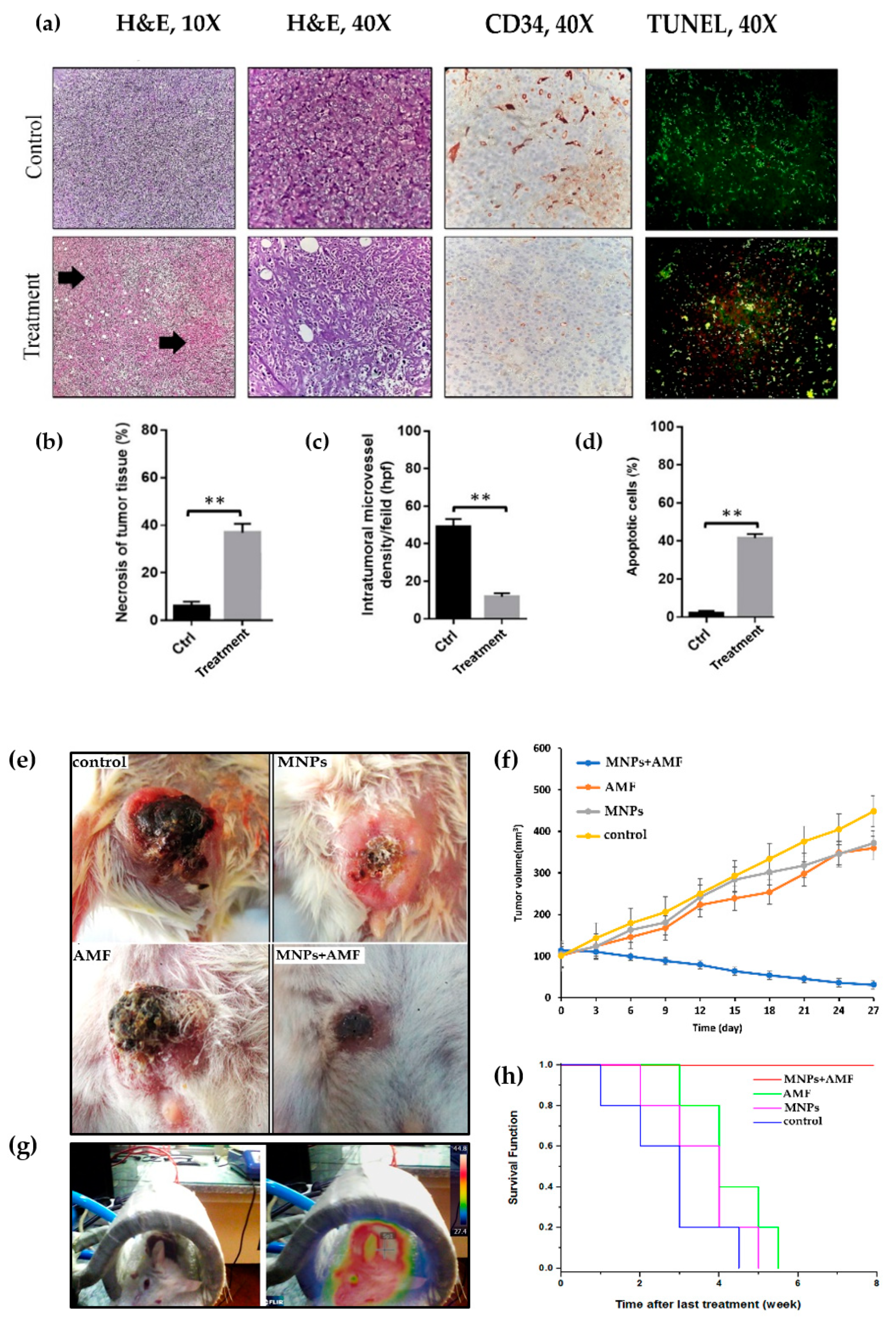 Nanomaterials 10 02310 g006