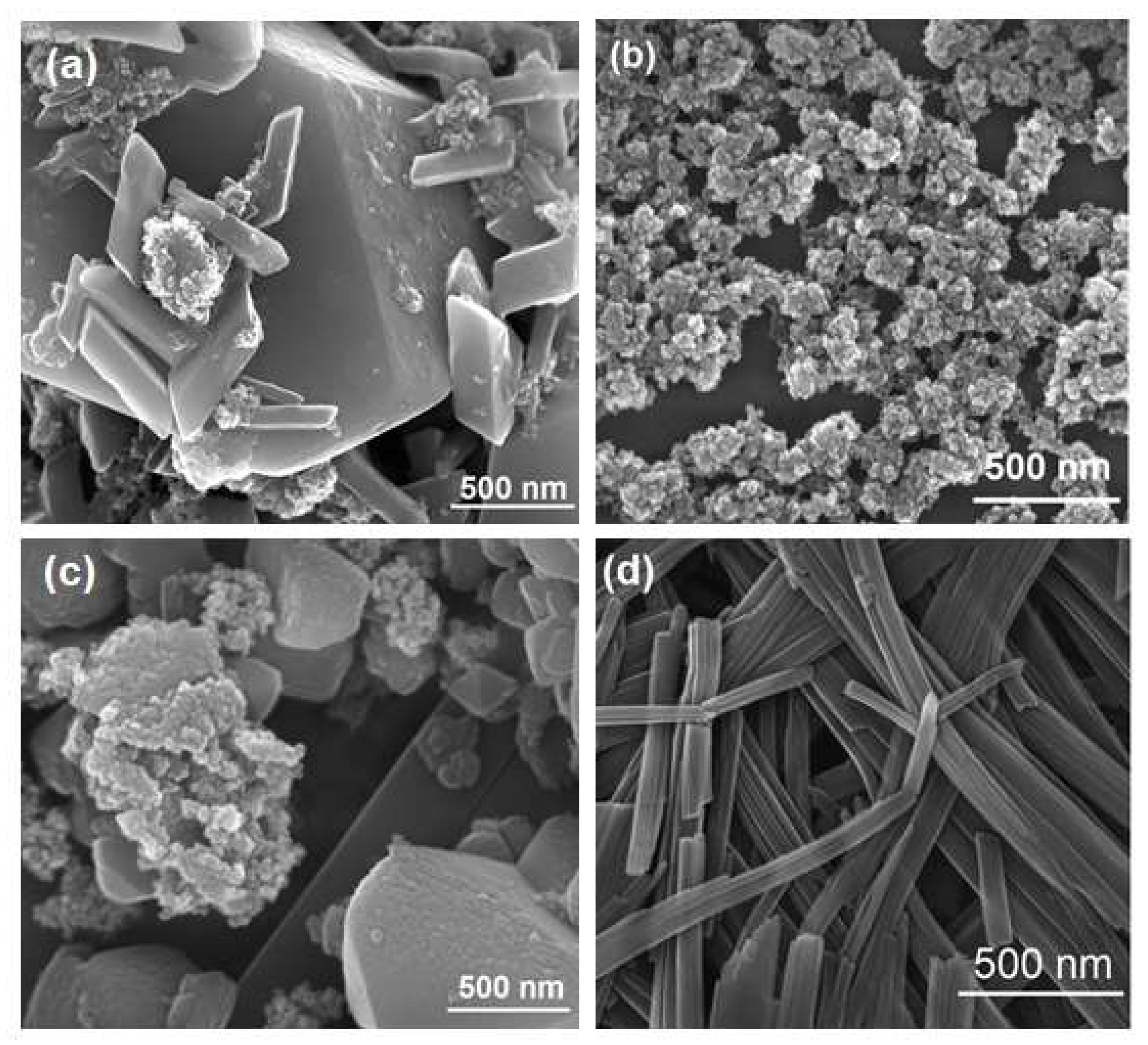 Nanomaterials 10 02314 g003