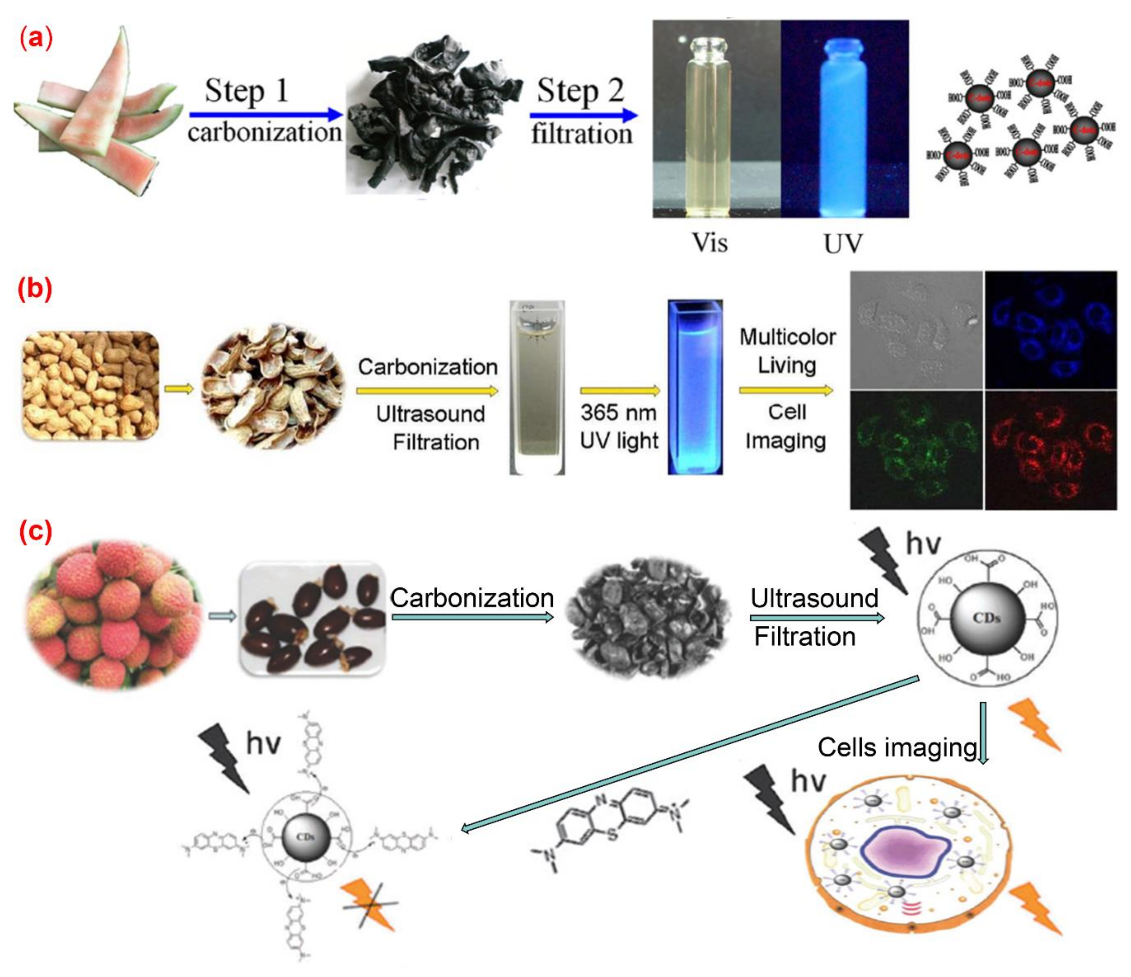 Nanomaterials 10 02316 g003