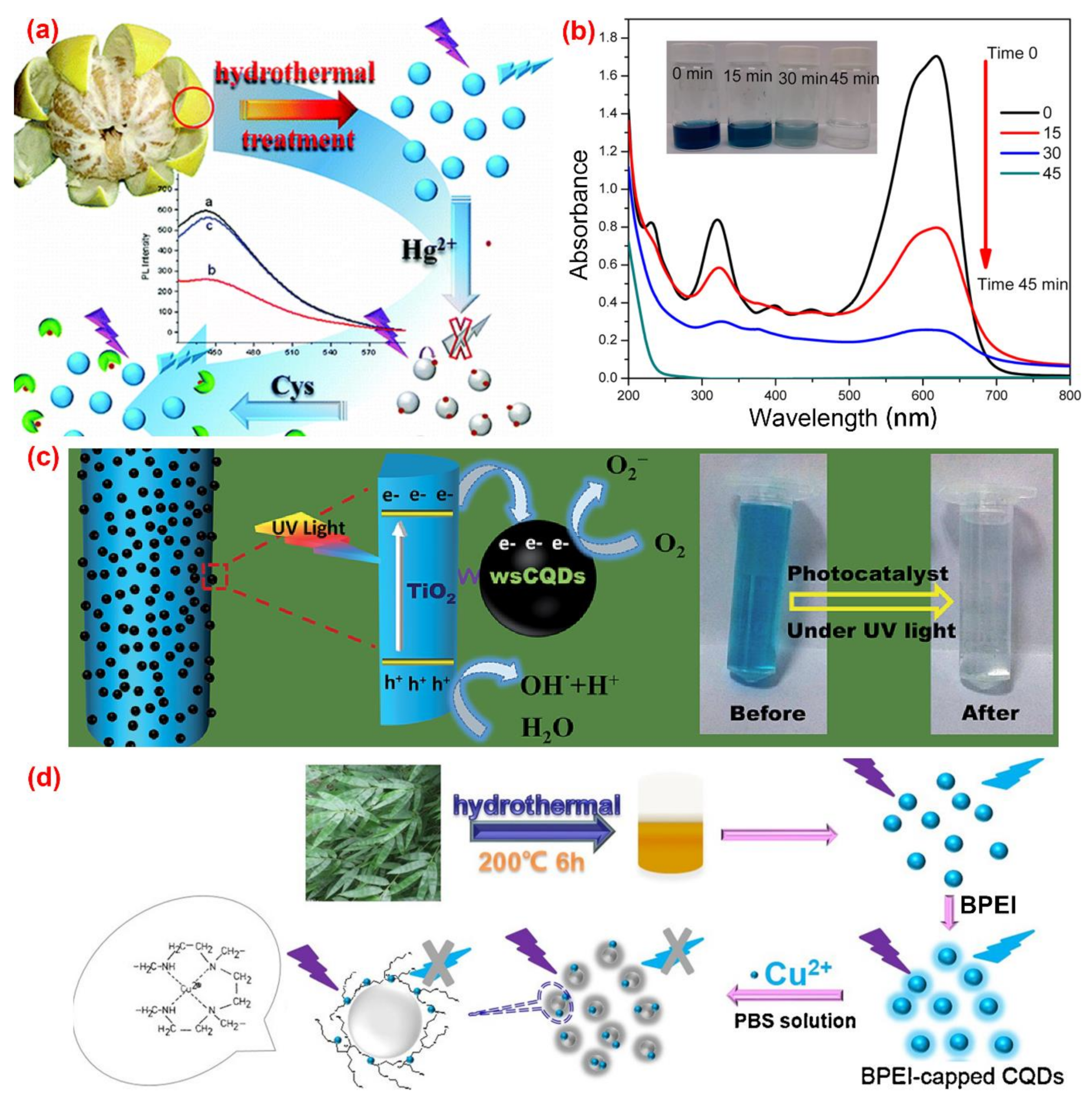 Nanomaterials 10 02316 g004