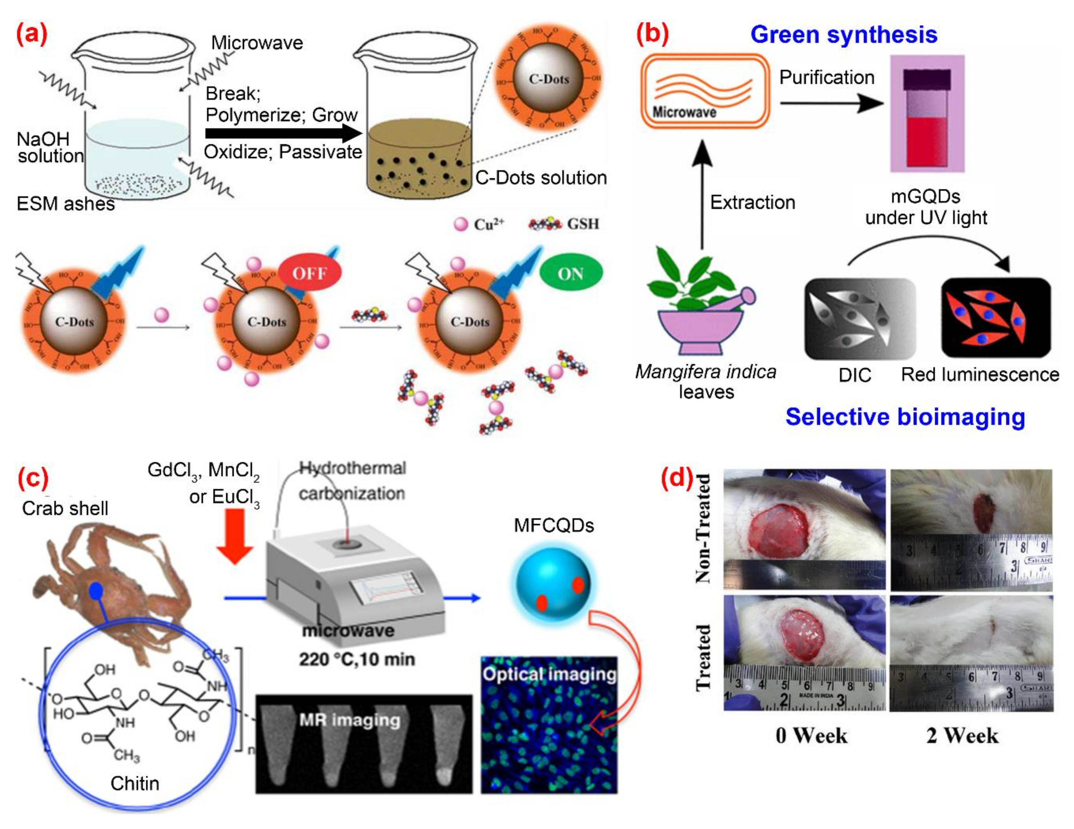 Nanomaterials 10 02316 g005
