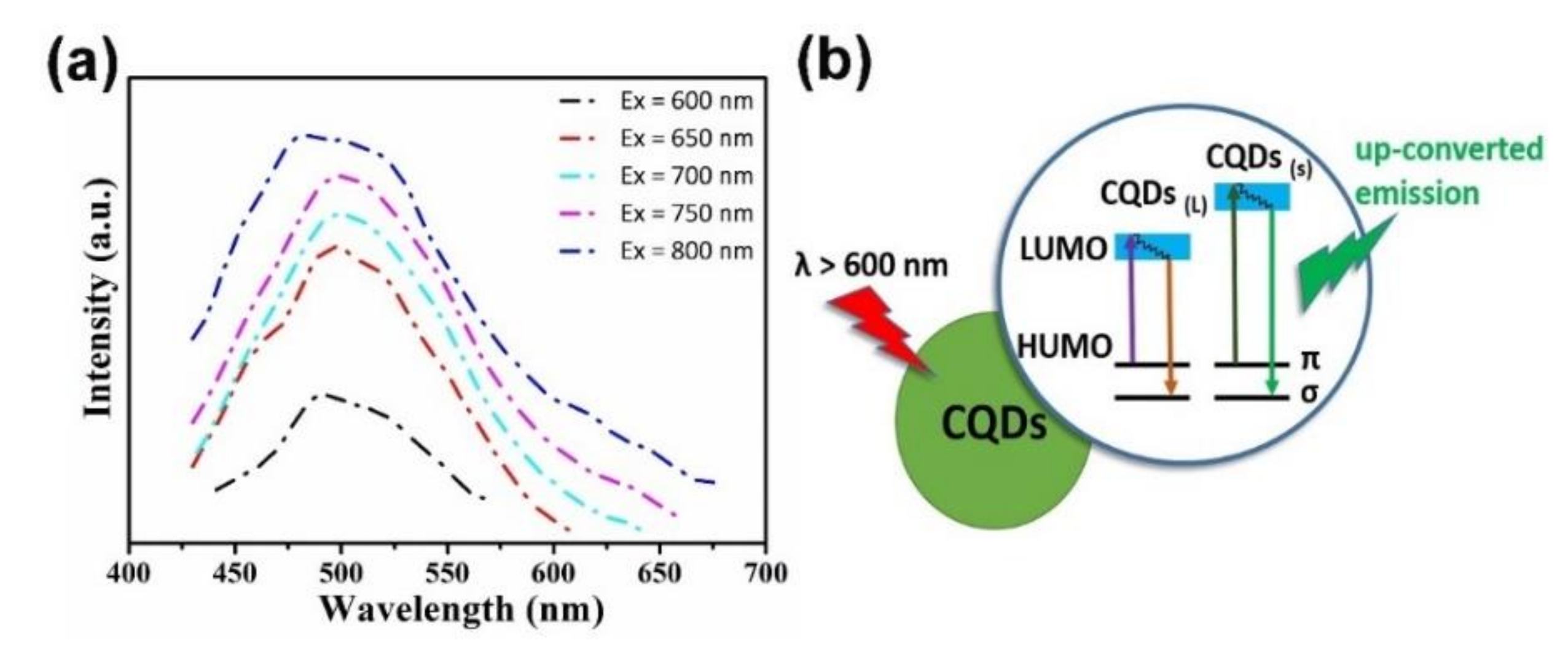 Nanomaterials 10 02316 g010