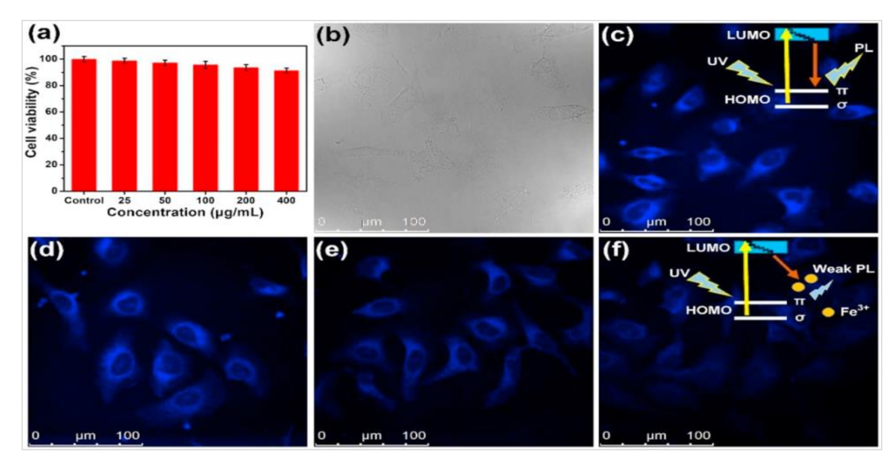 Nanomaterials 10 02316 g012