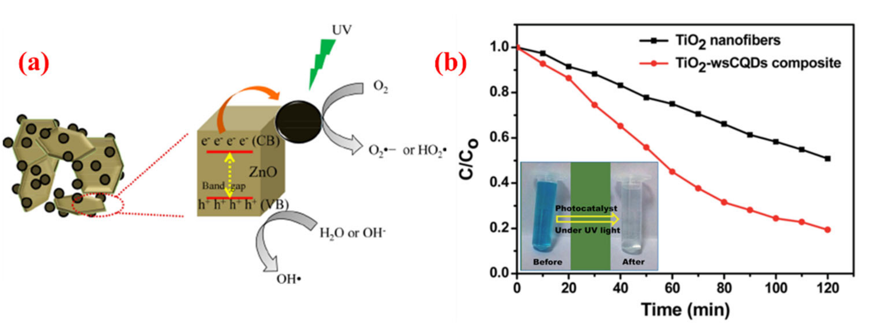Nanomaterials 10 02316 g013
