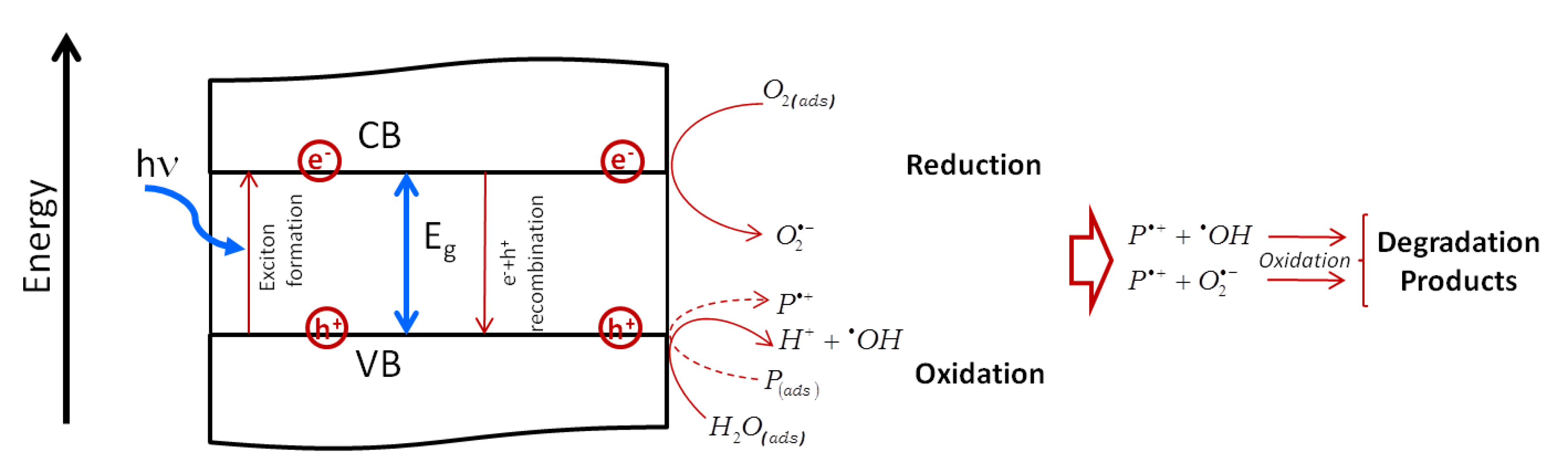 Nanomaterials 10 02317 g019 Nanomaterials 10 02317 g019