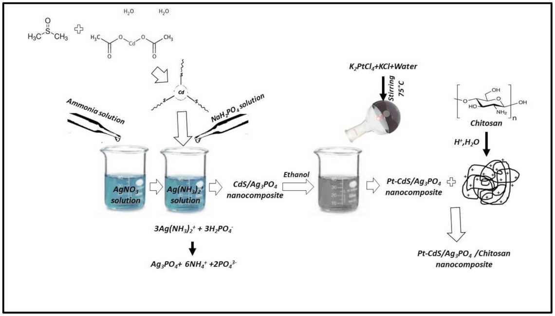 Nanomaterials 10 02320 sch001