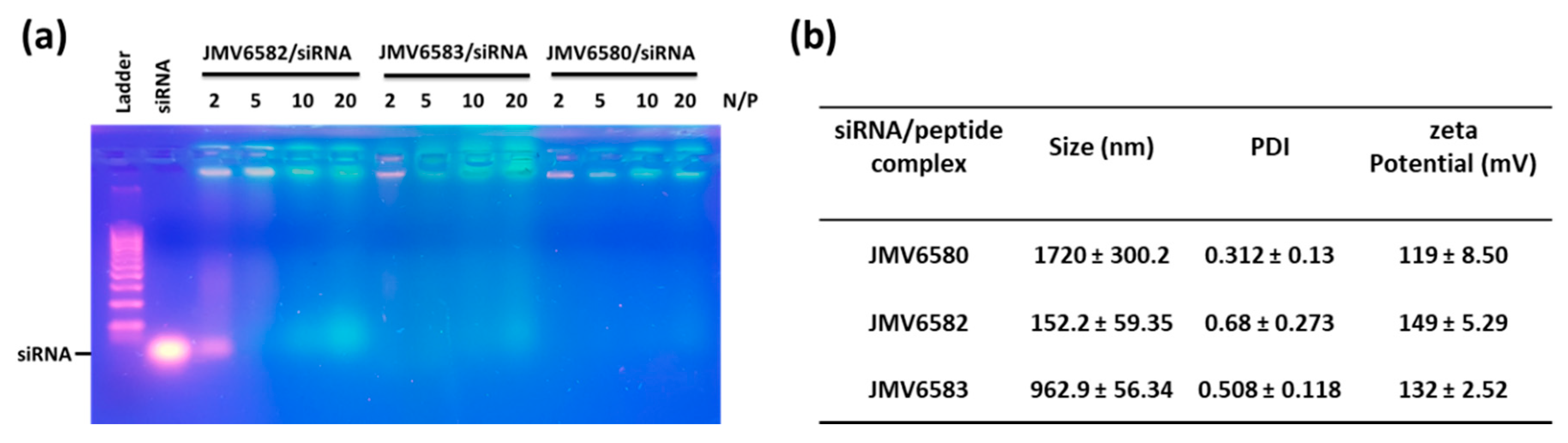 Nanomaterials 10 02334 g003