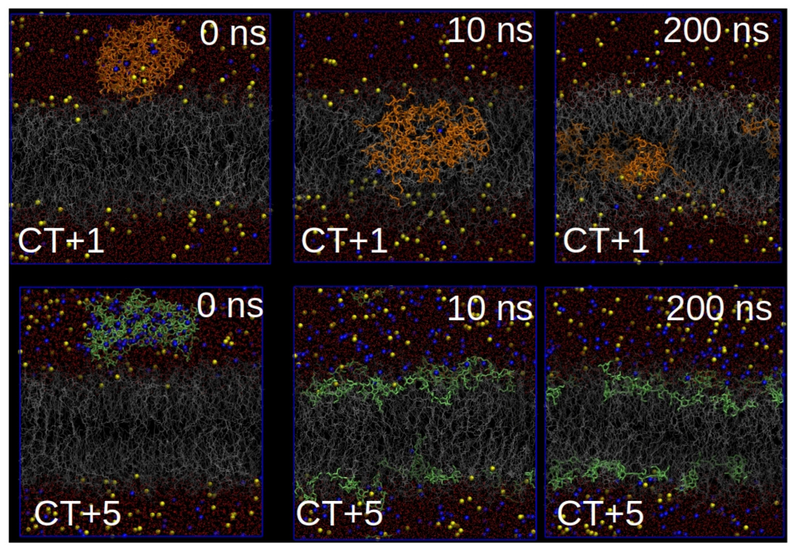 Nanomaterials 10 02340 g003