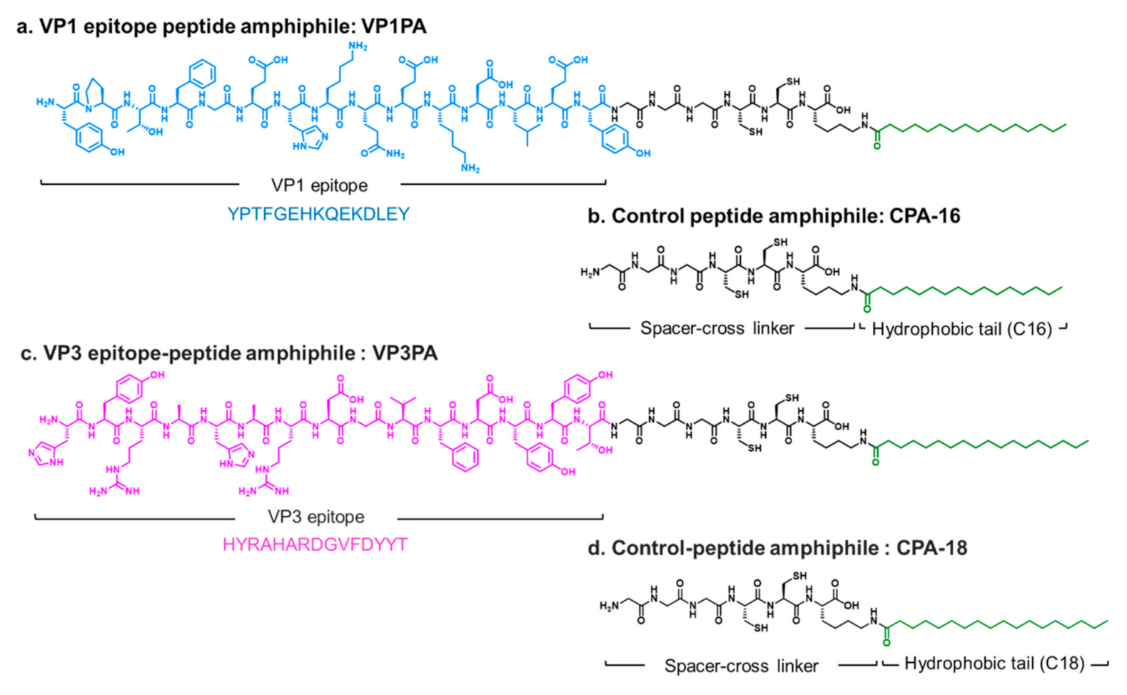 Nanomaterials 10 02342 g002