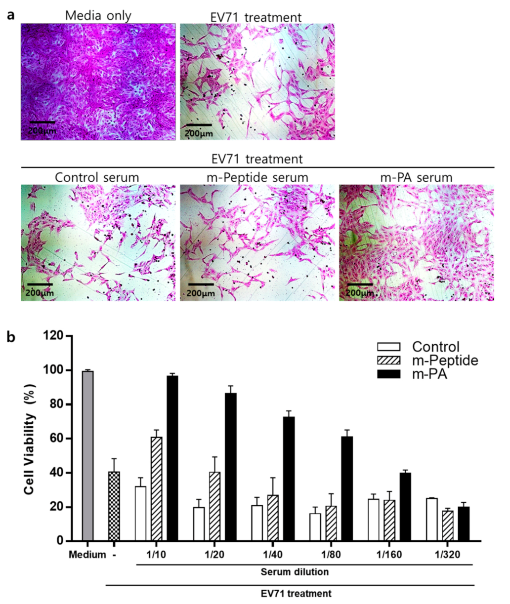 Nanomaterials 10 02342 g007