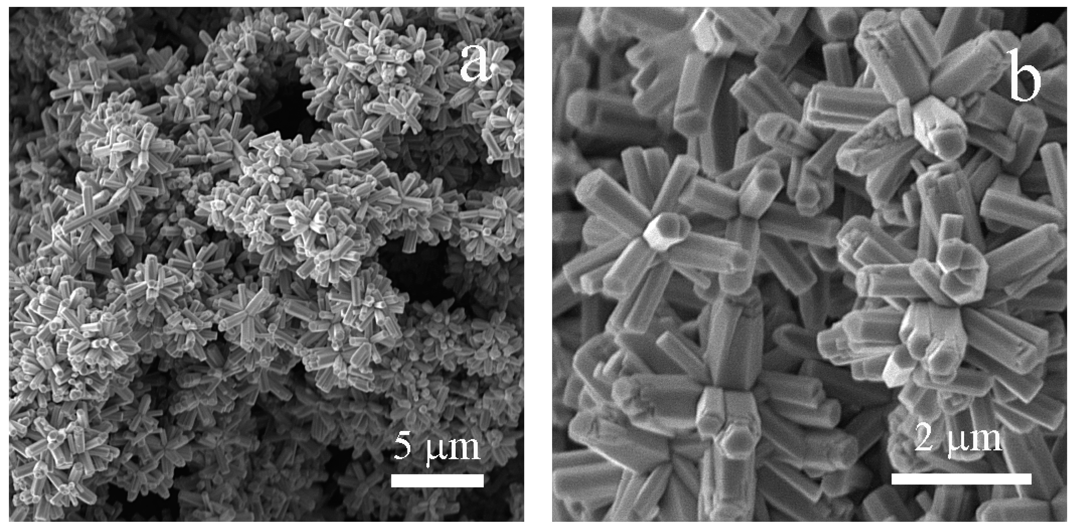 Nanomaterials 10 02345 g002