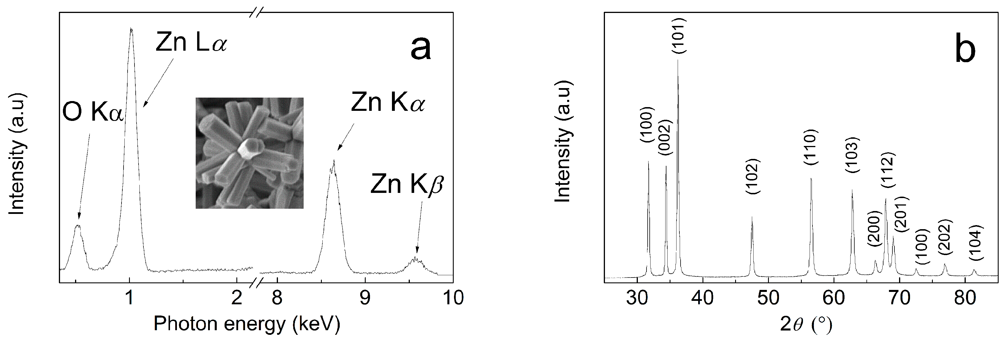 Nanomaterials 10 02345 g003