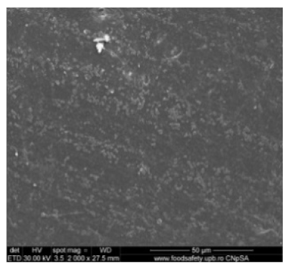 Nanomaterials 10 02349 i001 Nanomaterials 10 02349 i001