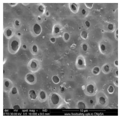 Nanomaterials 10 02349 i002 Nanomaterials 10 02349 i002