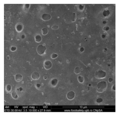 Nanomaterials 10 02349 i006 Nanomaterials 10 02349 i006