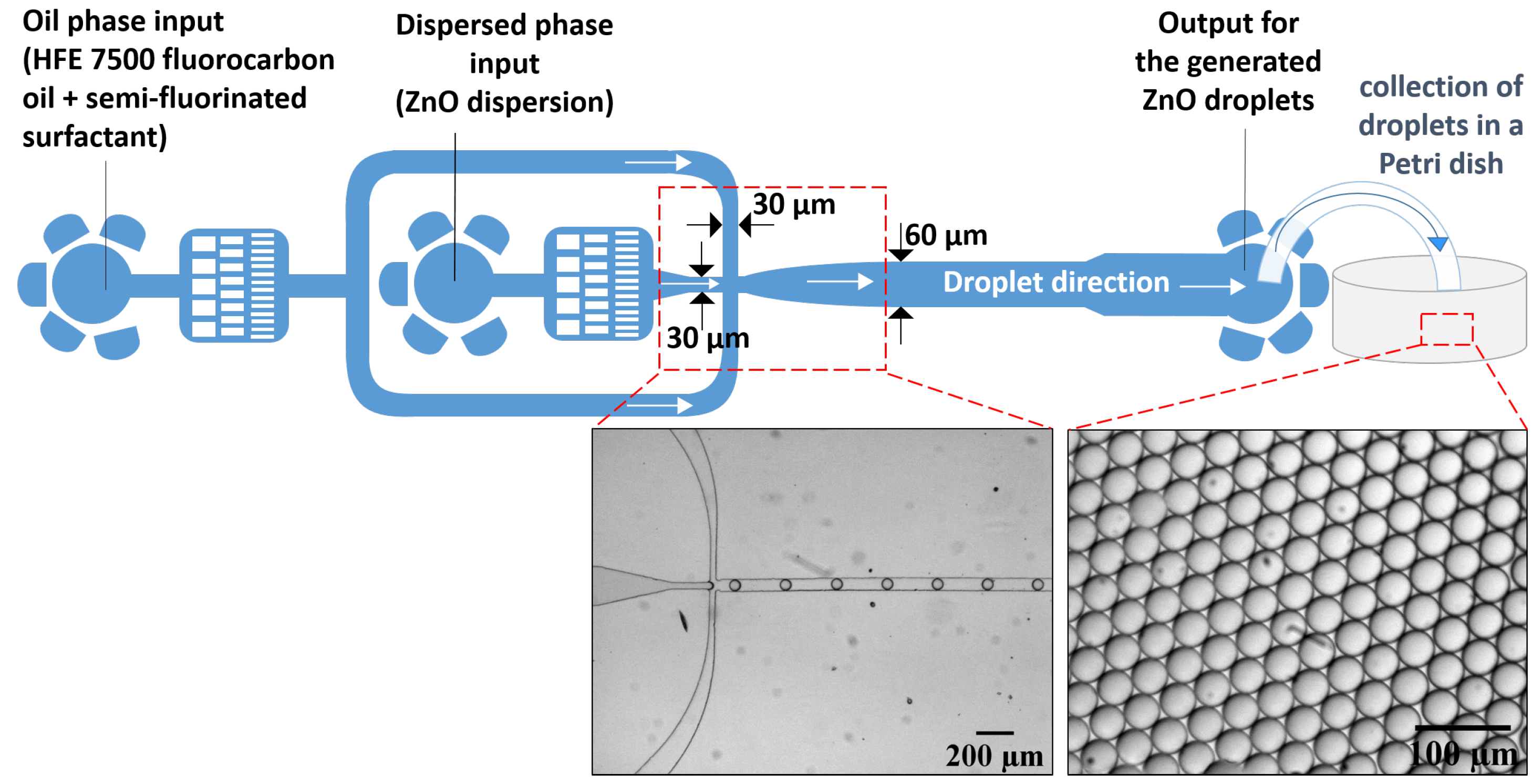 Nanomaterials 10 02351 g001