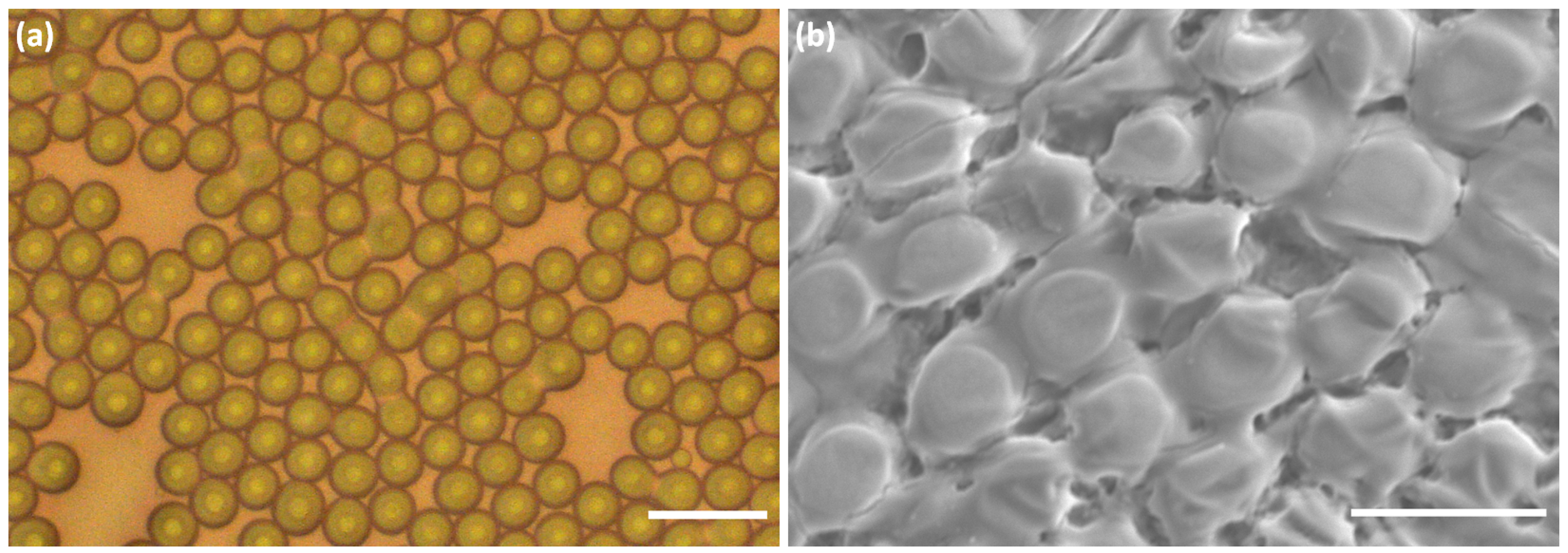 Nanomaterials 10 02351 g006