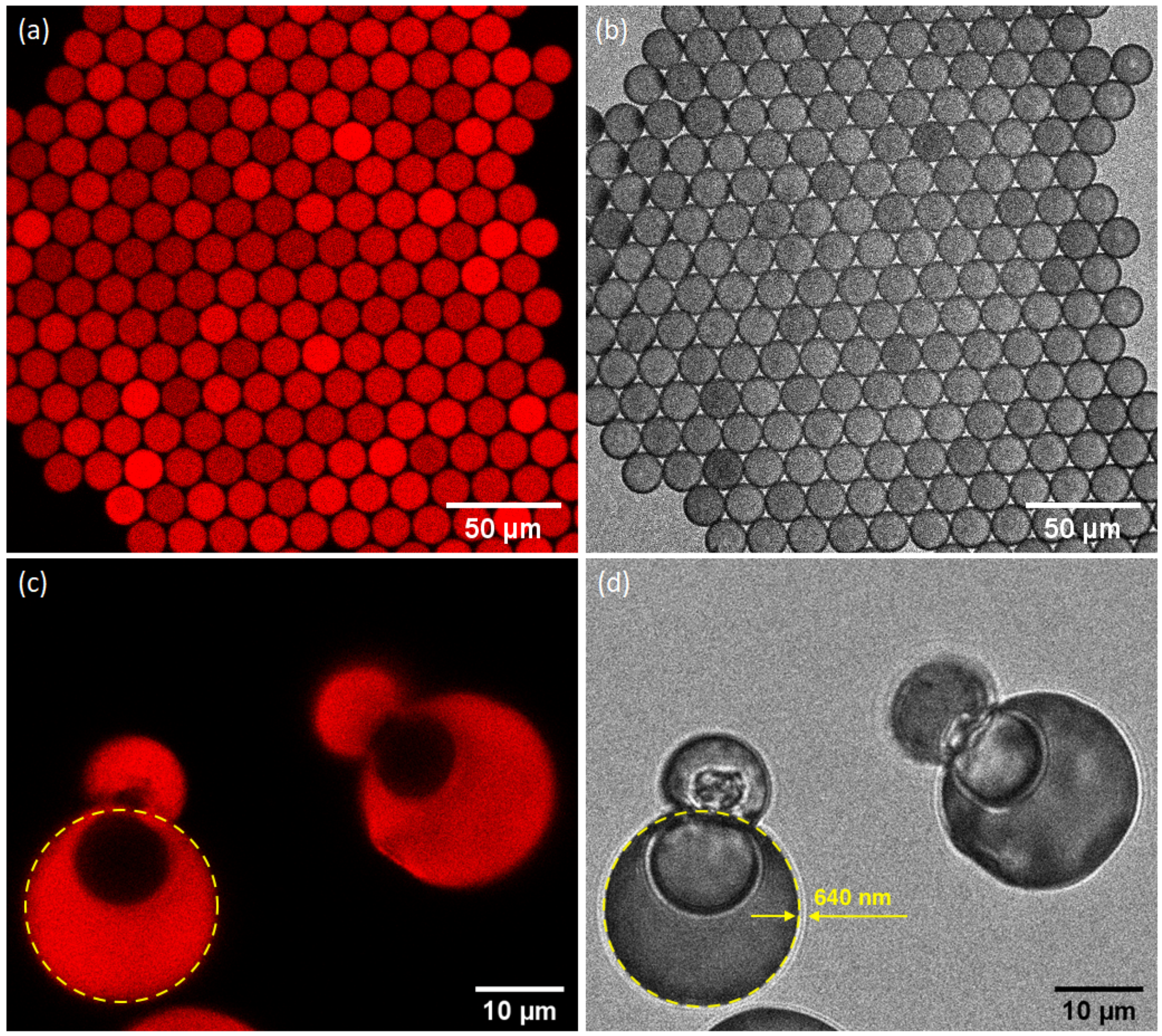 Nanomaterials 10 02351 g007