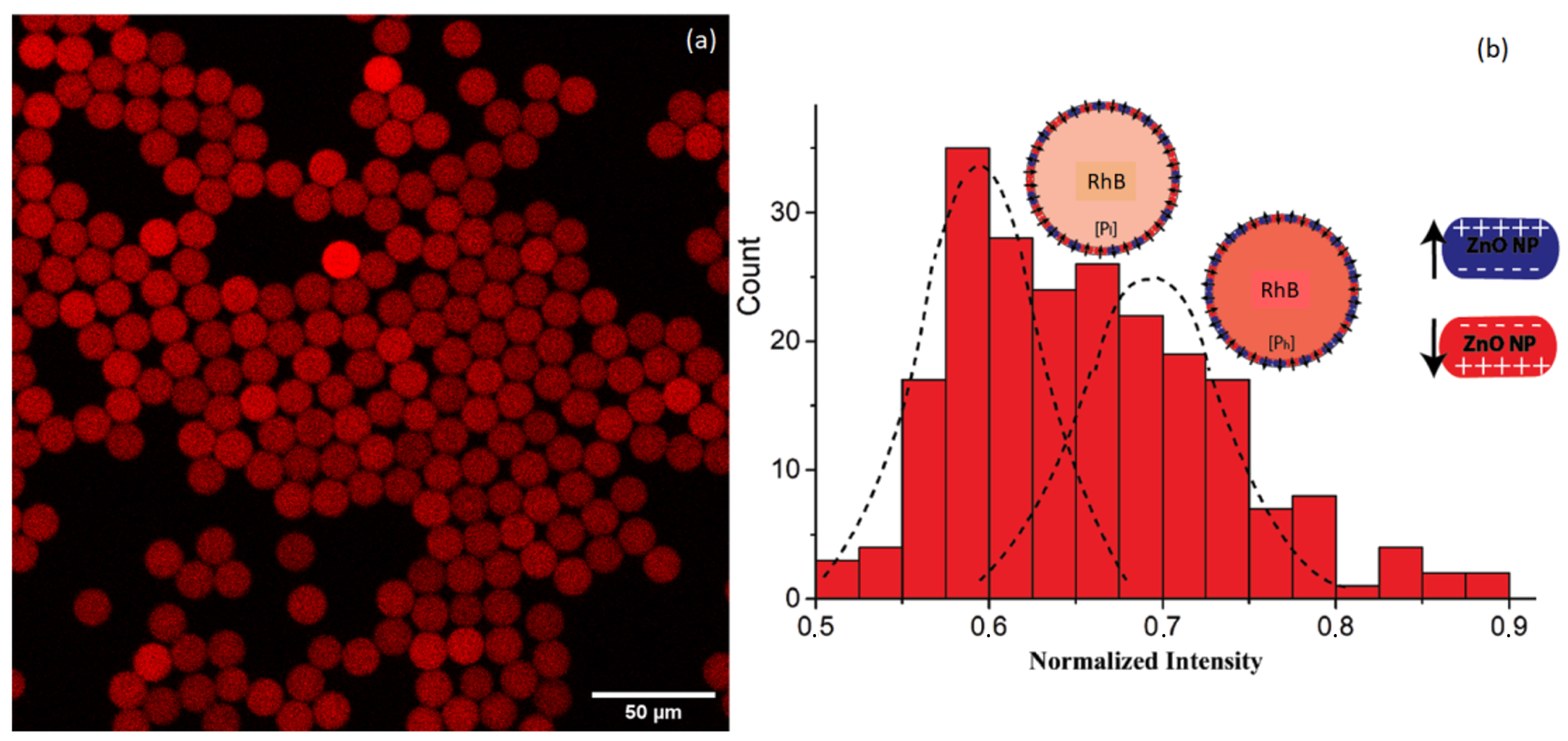Nanomaterials 10 02351 g008