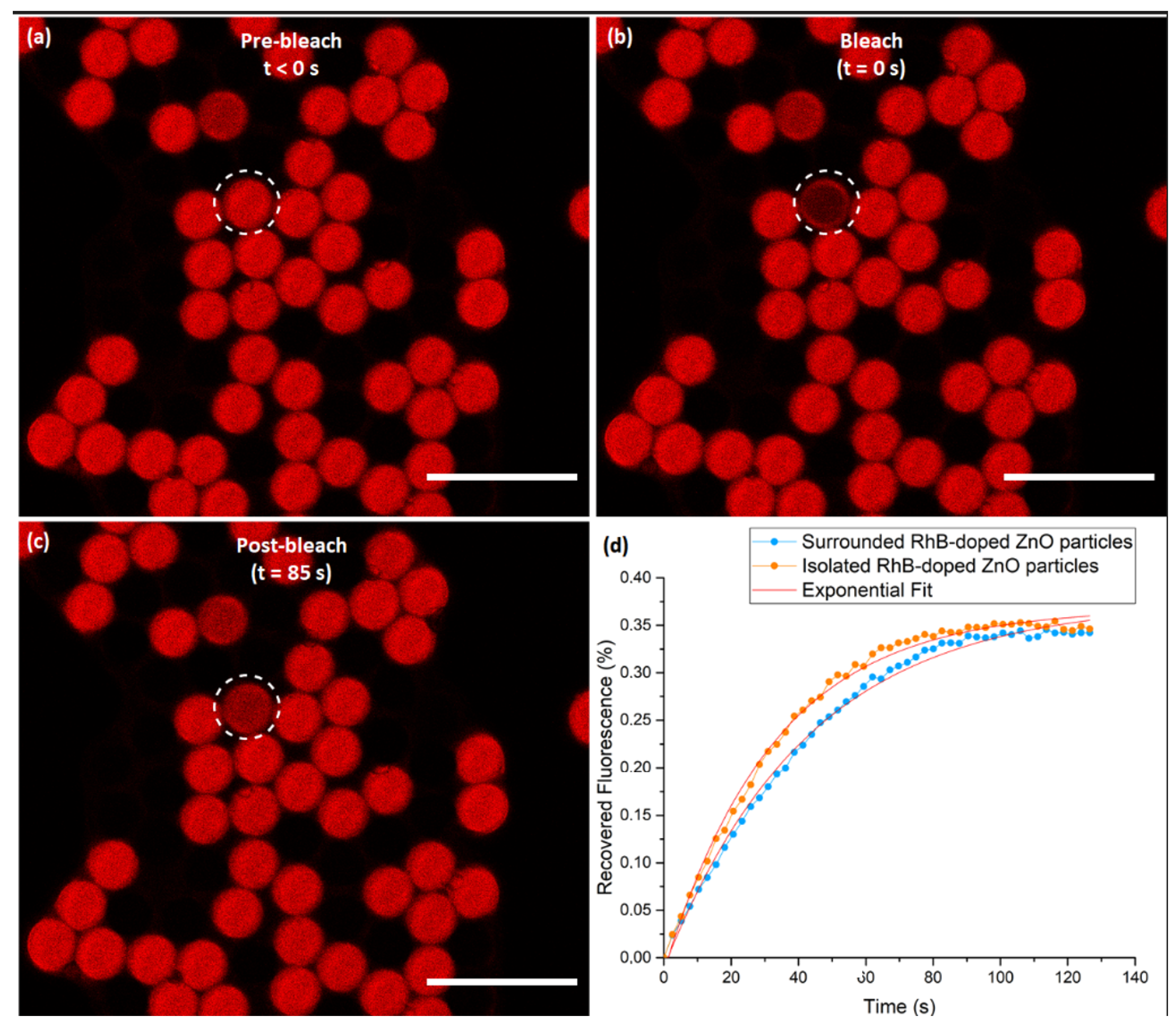 Nanomaterials 10 02351 g009