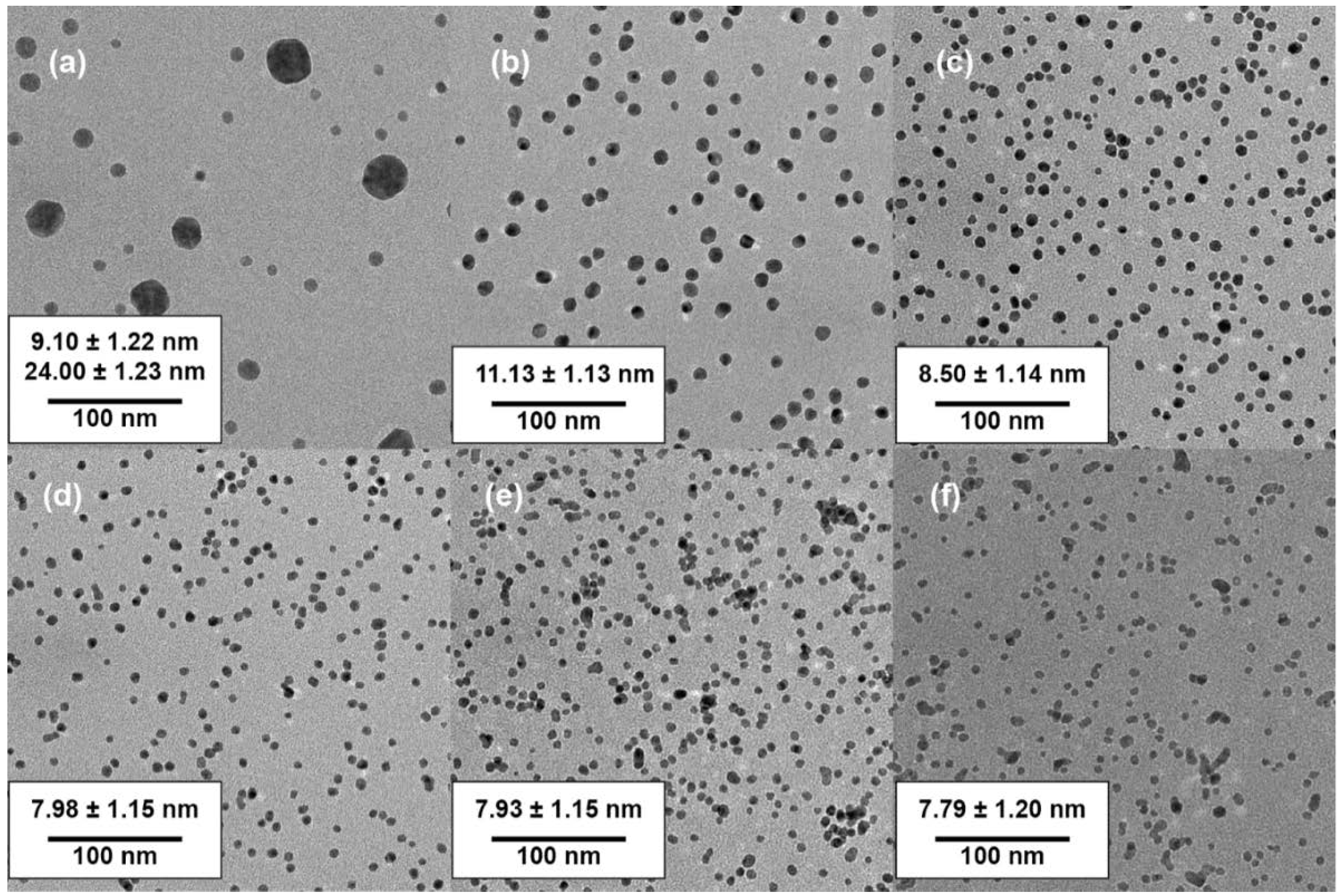 Nanomaterials 10 02359 g004 Nanomaterials 10 02359 g004