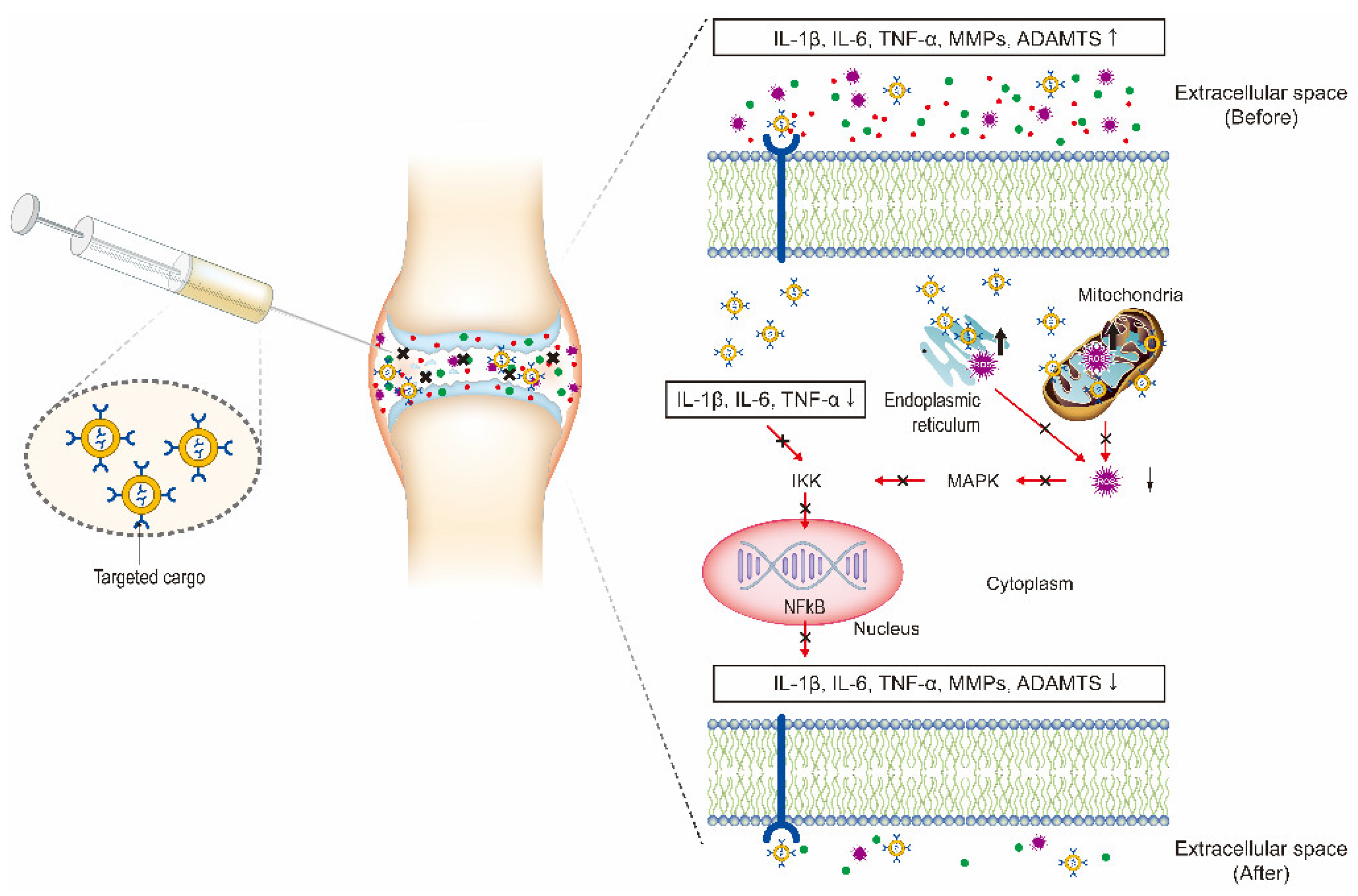 Nanomaterials 10 02368 g003
