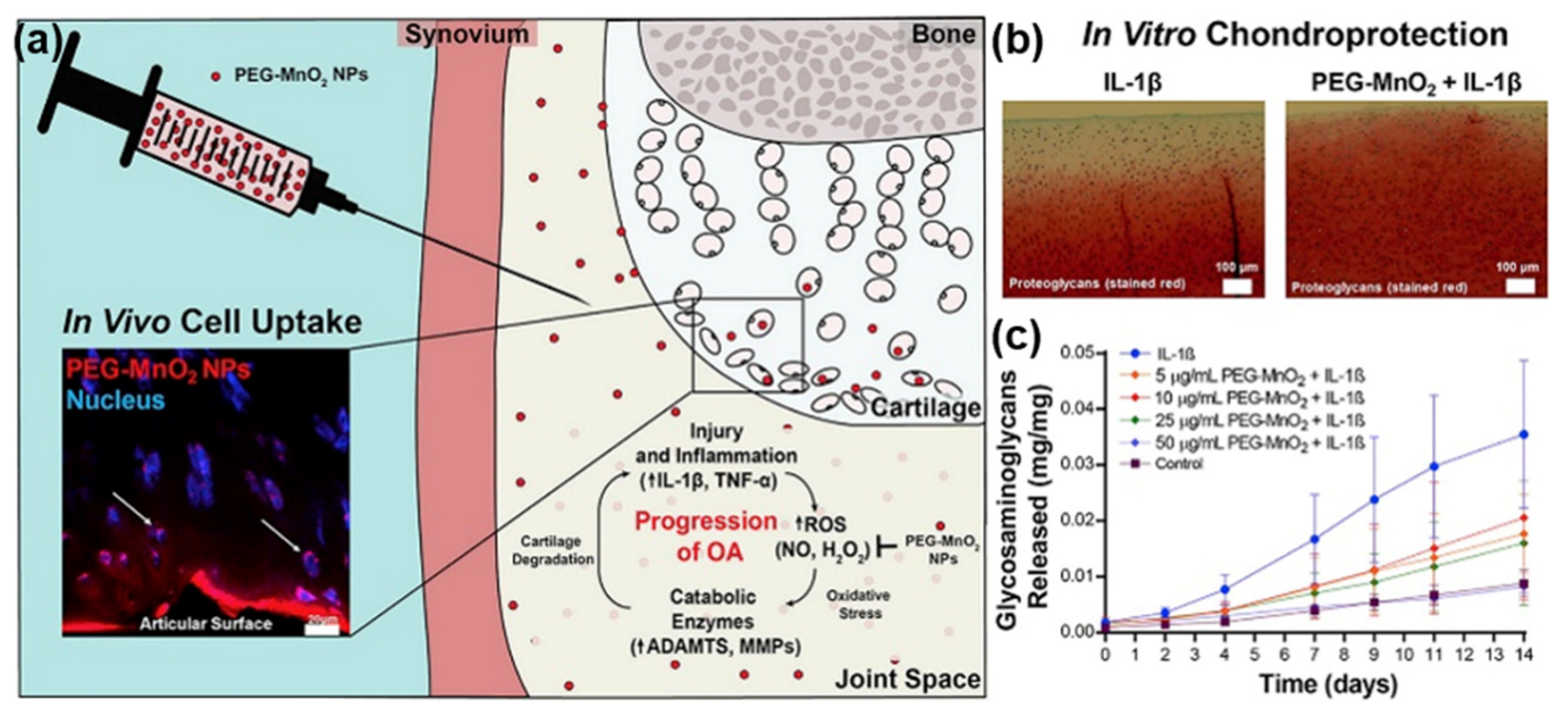 Nanomaterials 10 02368 g004