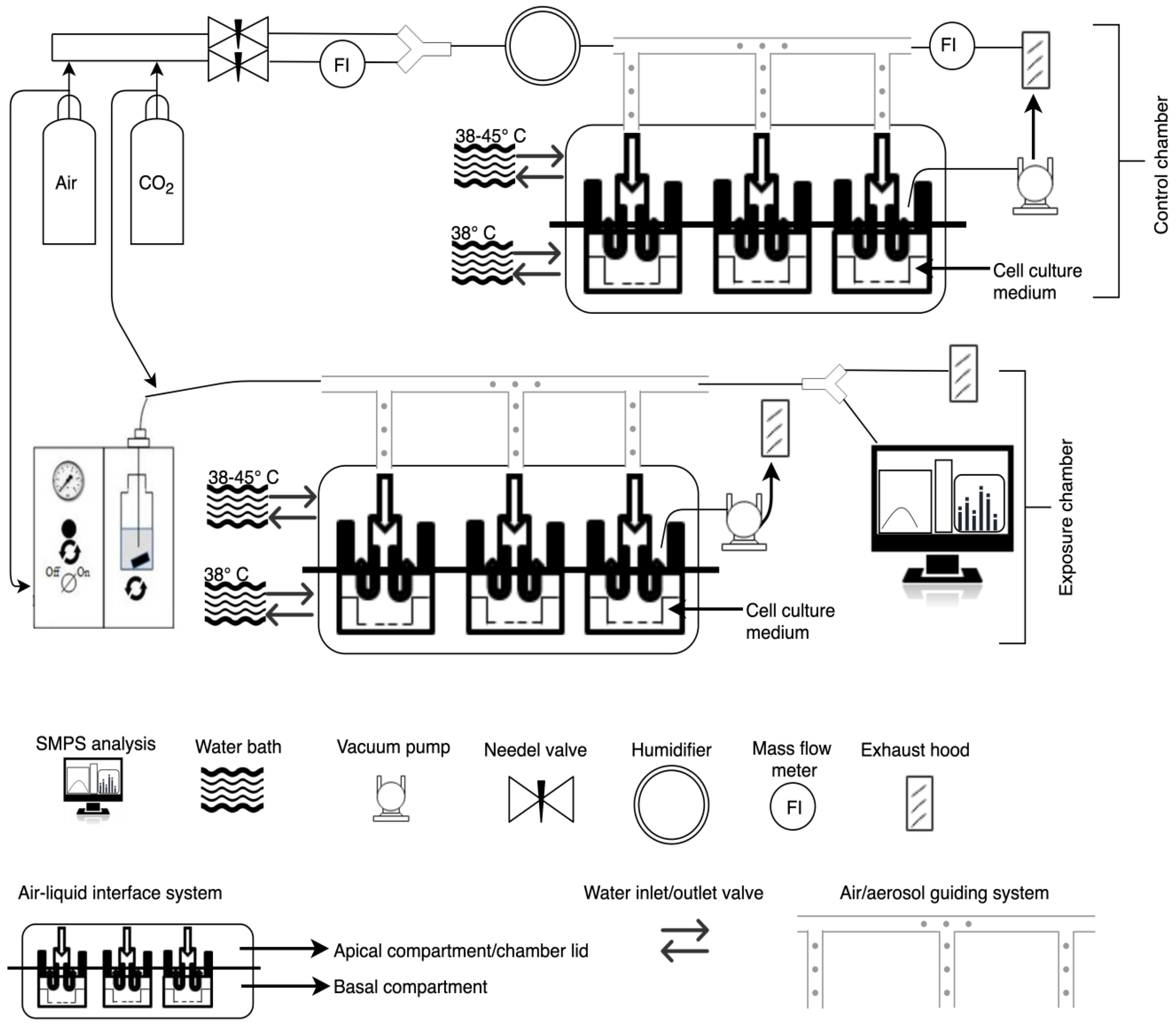 Nanomaterials 10 02369 g001