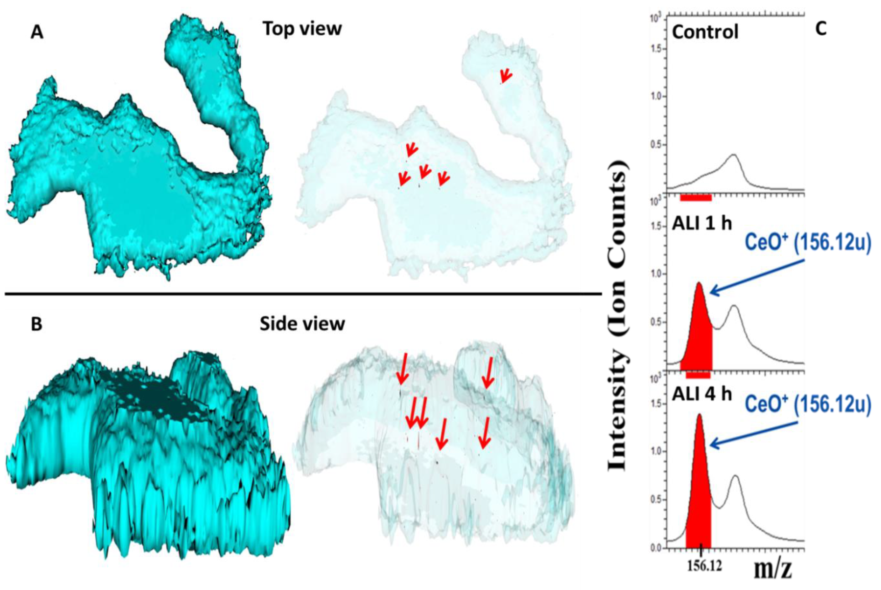 Nanomaterials 10 02369 g007