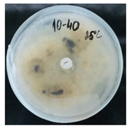 Nanomaterials 10 02374 i007 Nanomaterials 10 02374 i007