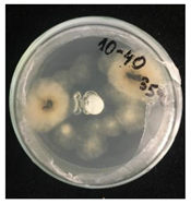 Nanomaterials 10 02374 i008 Nanomaterials 10 02374 i008