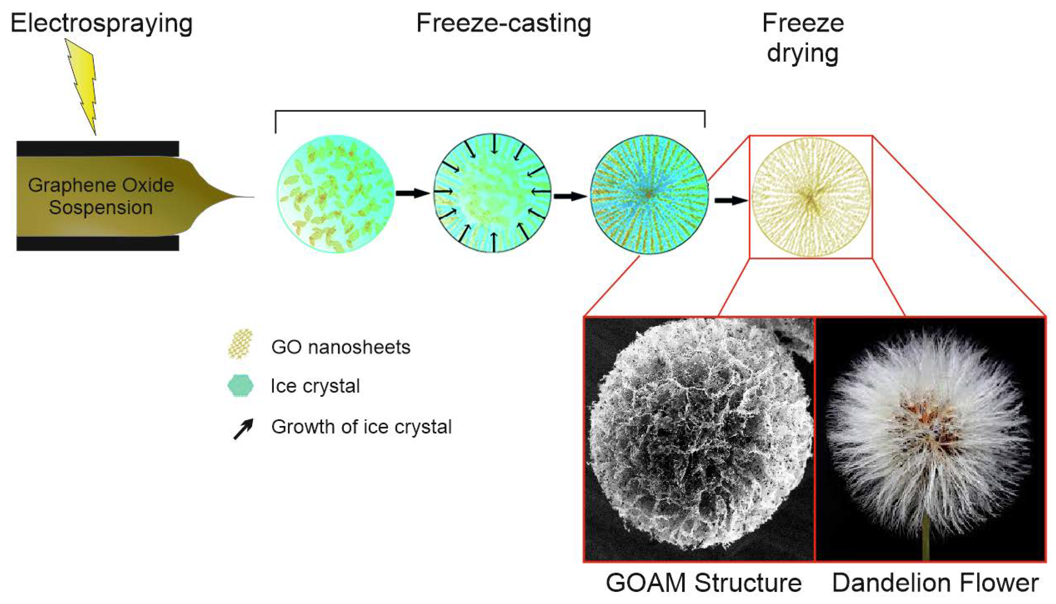 Nanomaterials 10 02376 g001