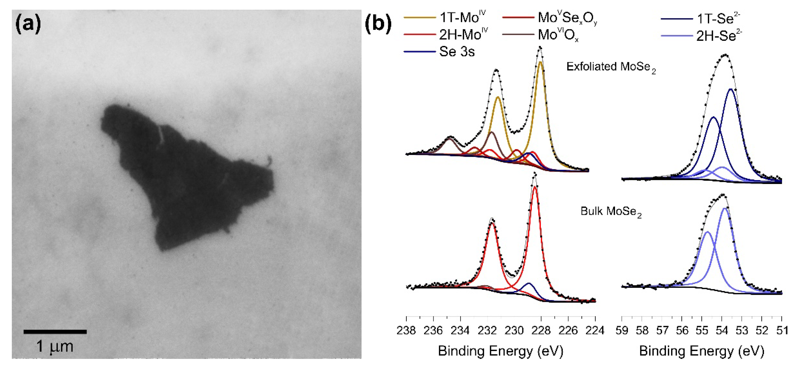 Nanomaterials 10 02376 g002