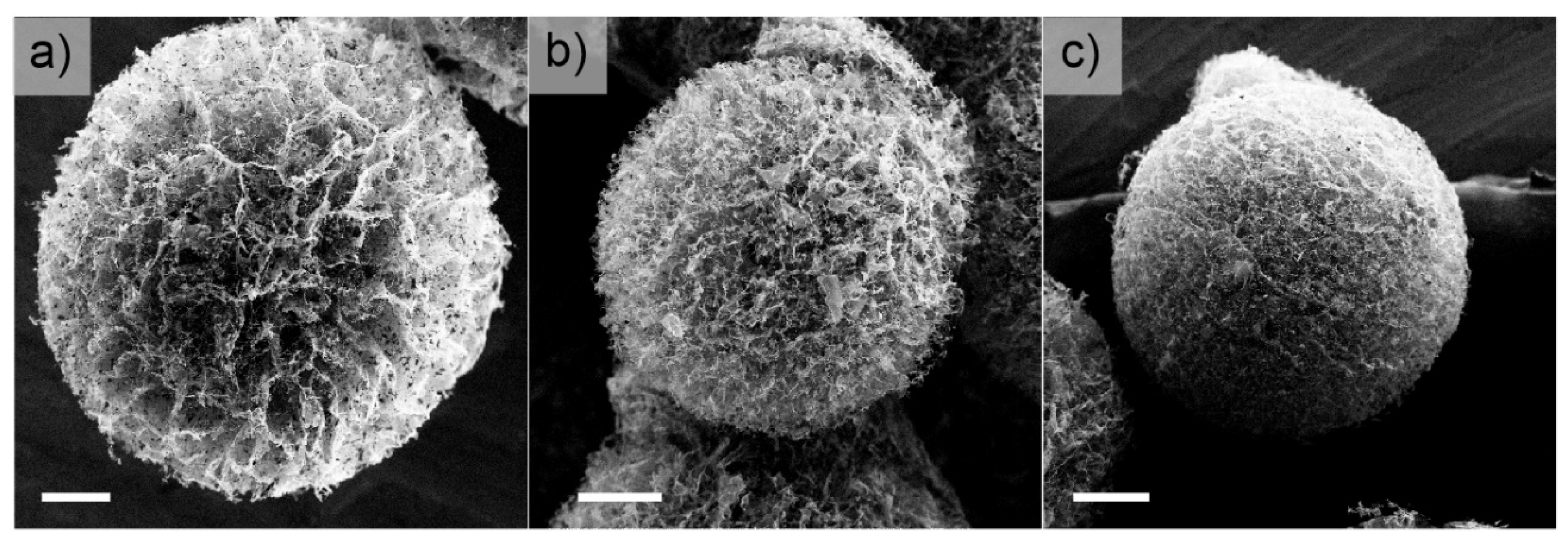 Nanomaterials 10 02376 g003