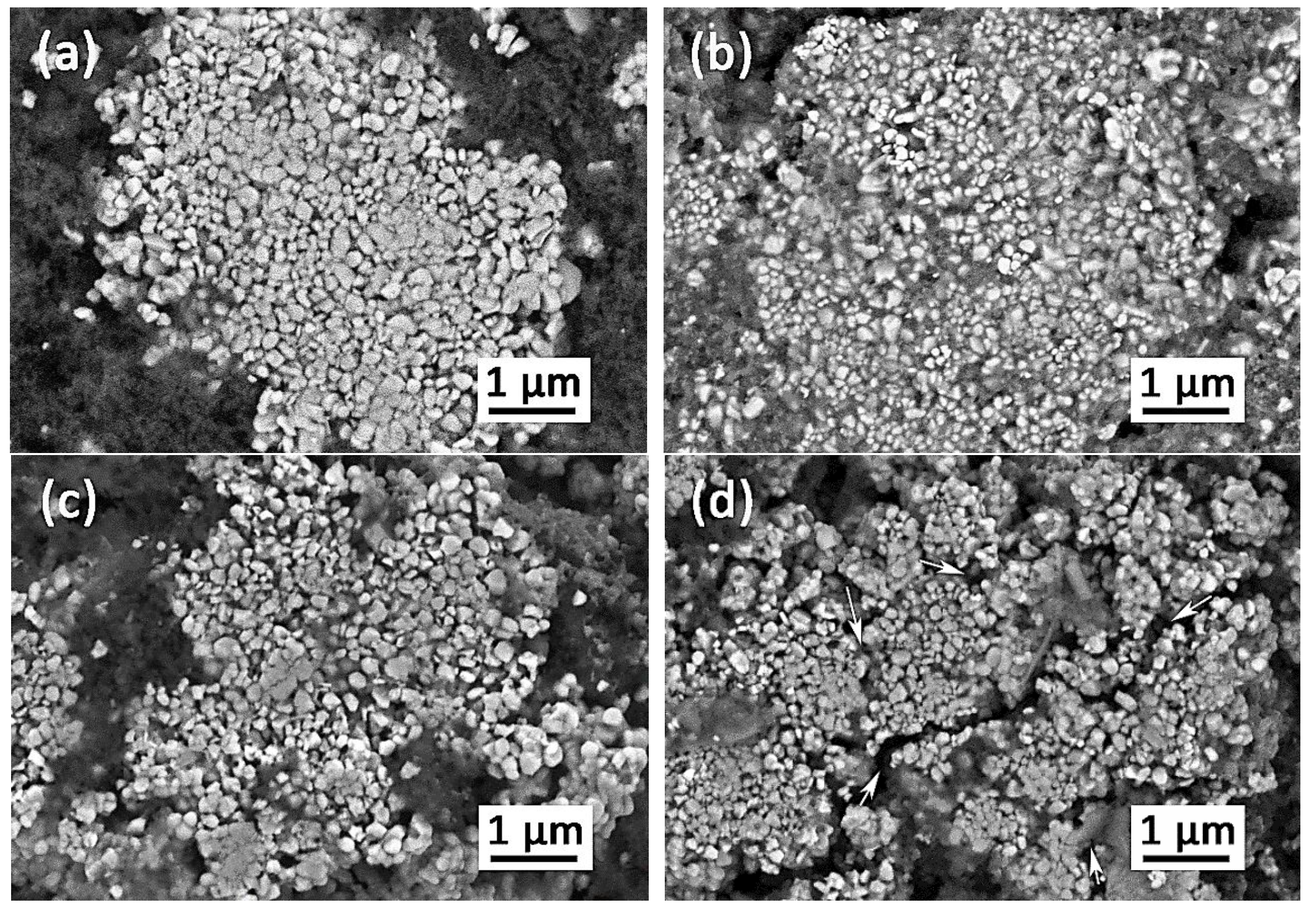 Nanomaterials 10 02381 g010