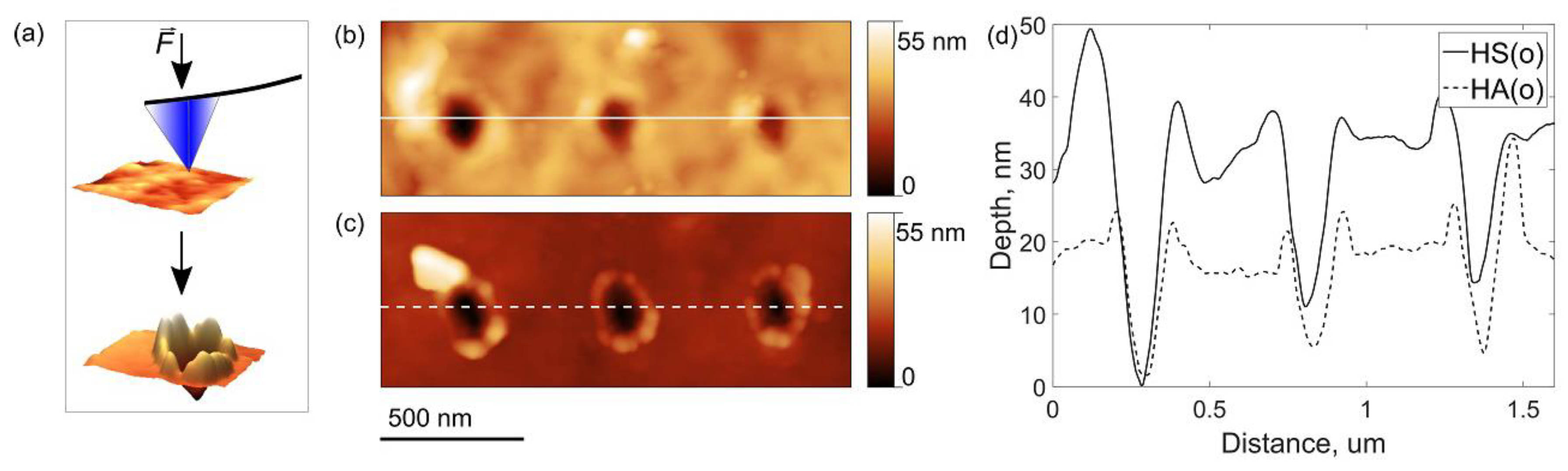 Nanomaterials 10 02381 g011