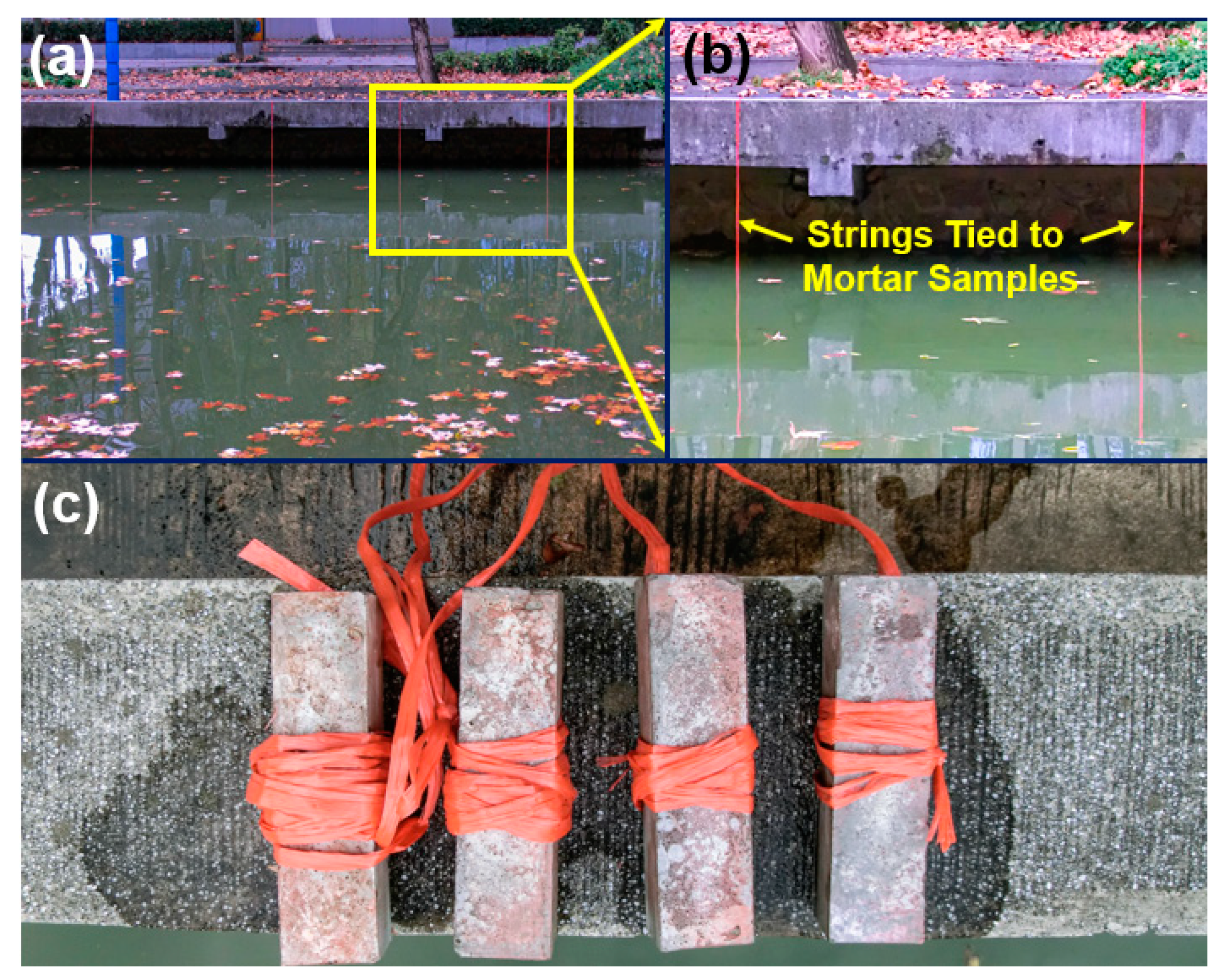 Nanomaterials 10 02385 g002 Nanomaterials 10 02385 g002