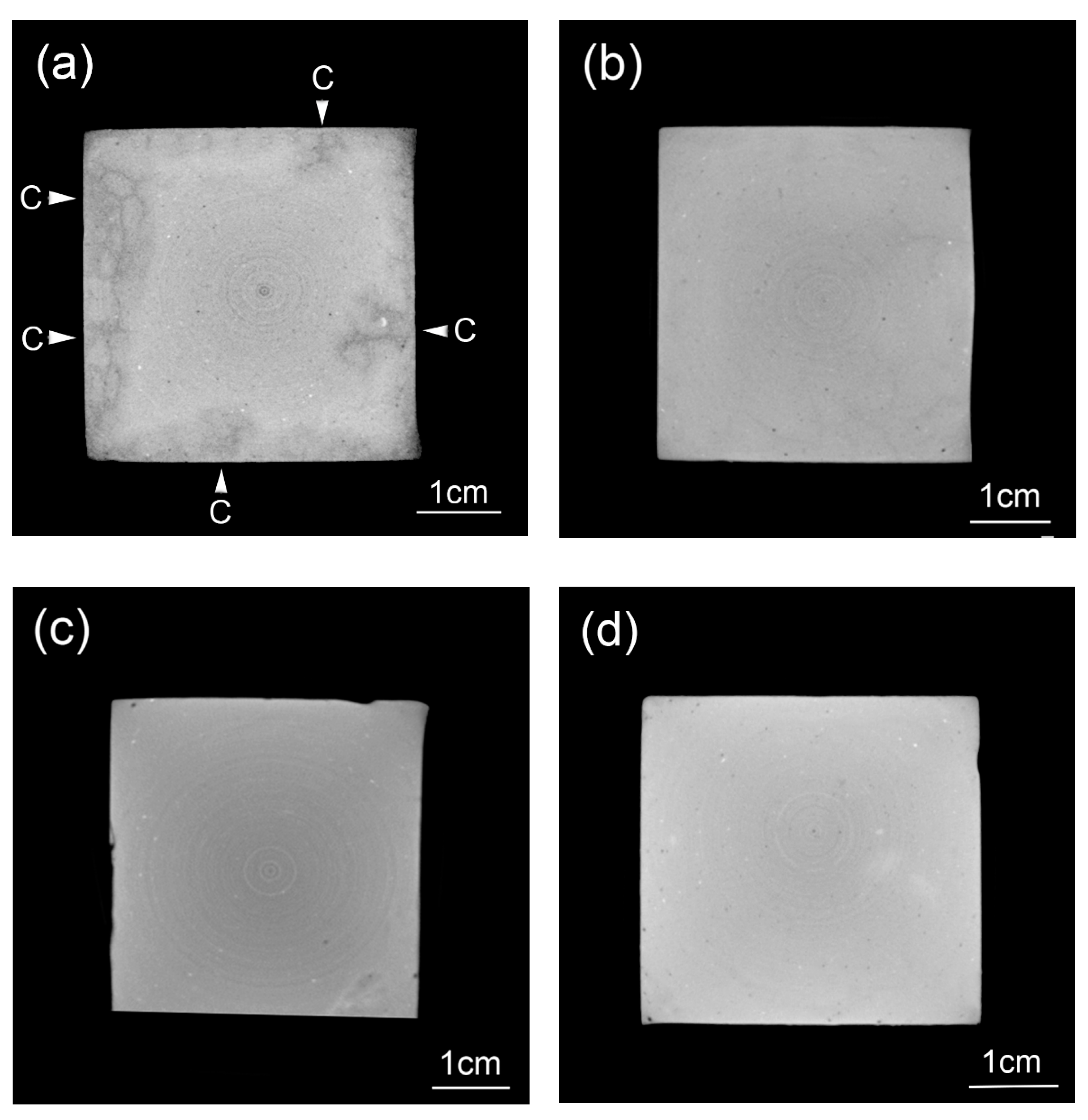 Nanomaterials 10 02385 g009 Nanomaterials 10 02385 g009