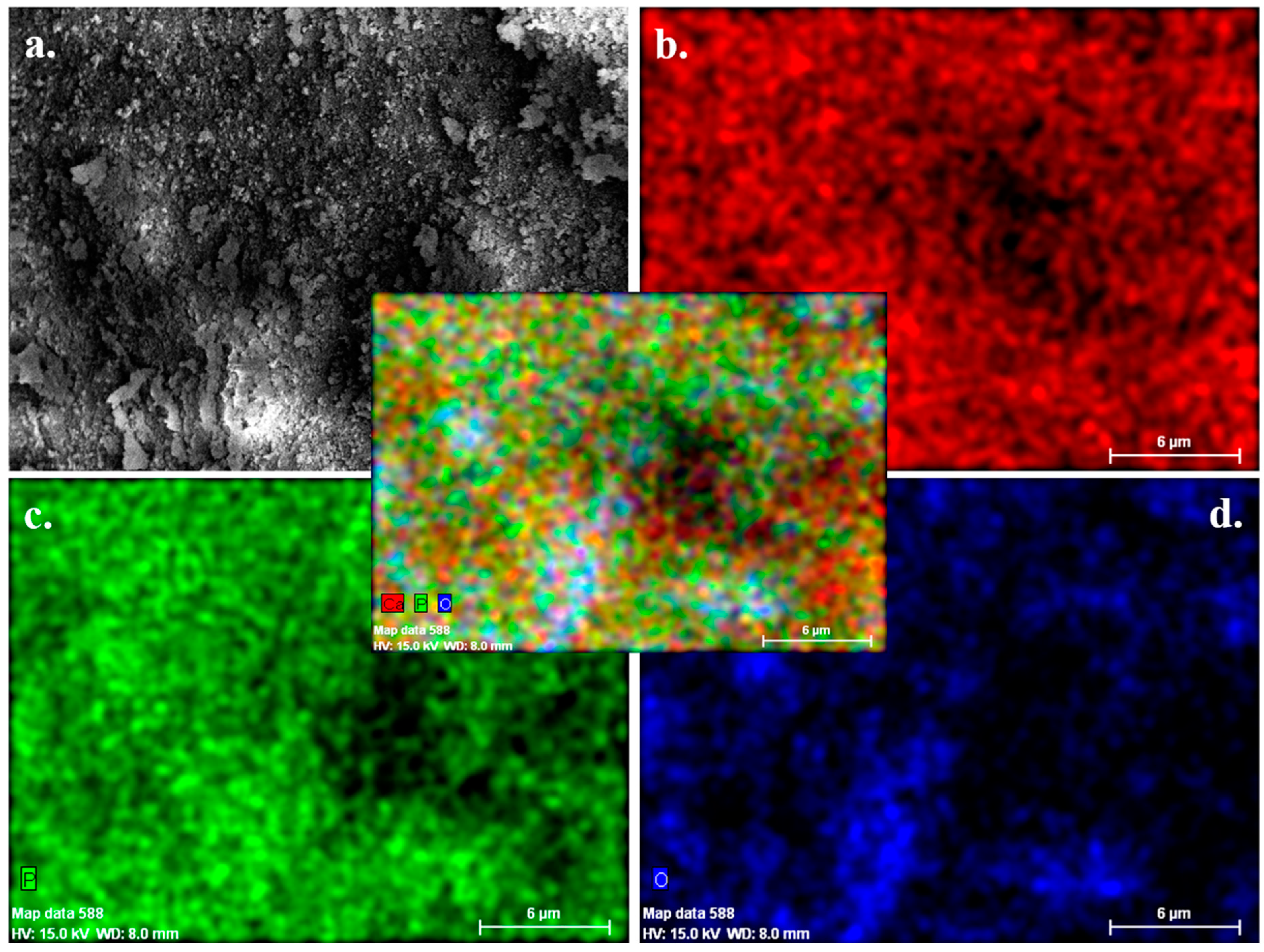 Nanomaterials 10 02396 g003 Nanomaterials 10 02396 g003
