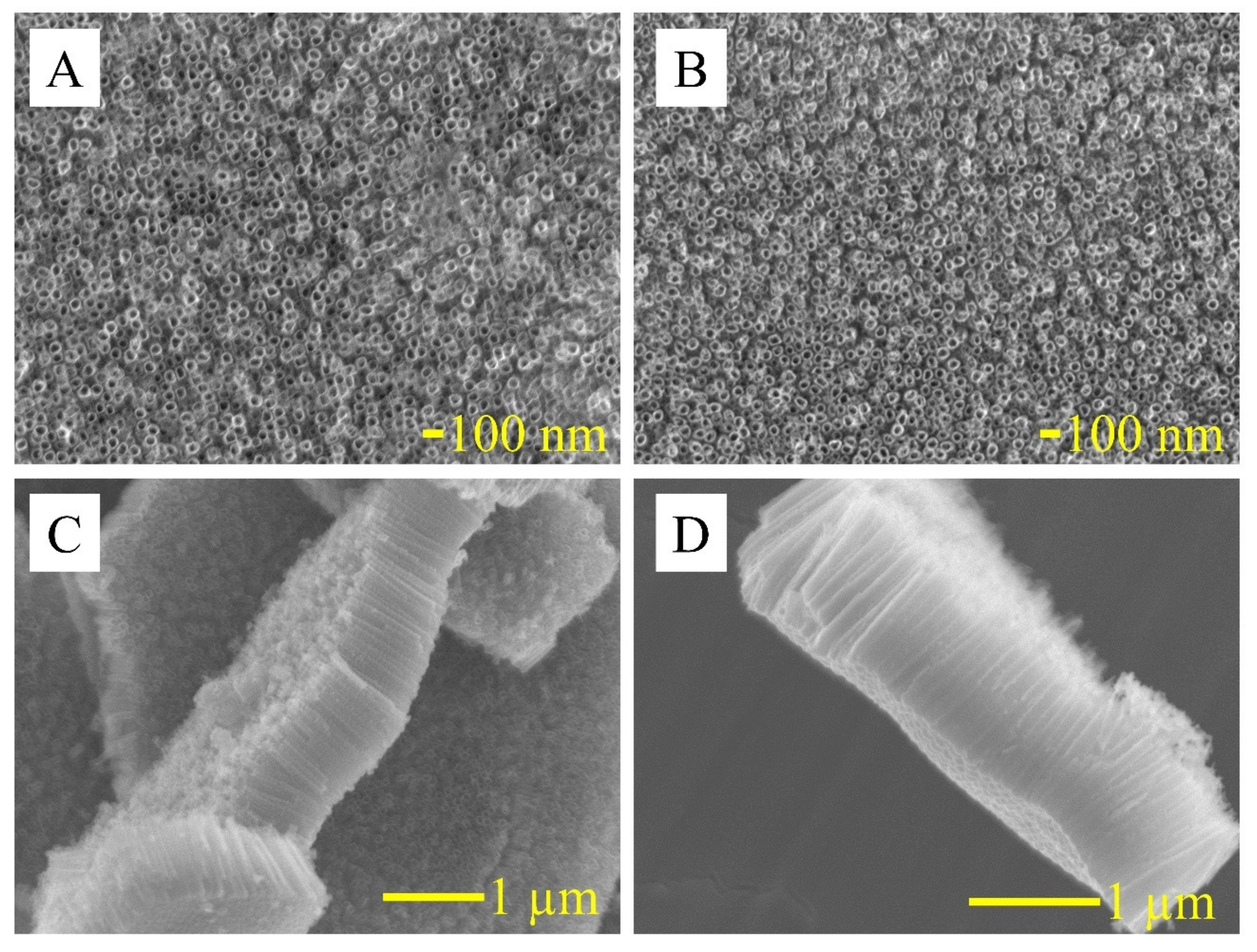 Nanomaterials 10 02399 g001