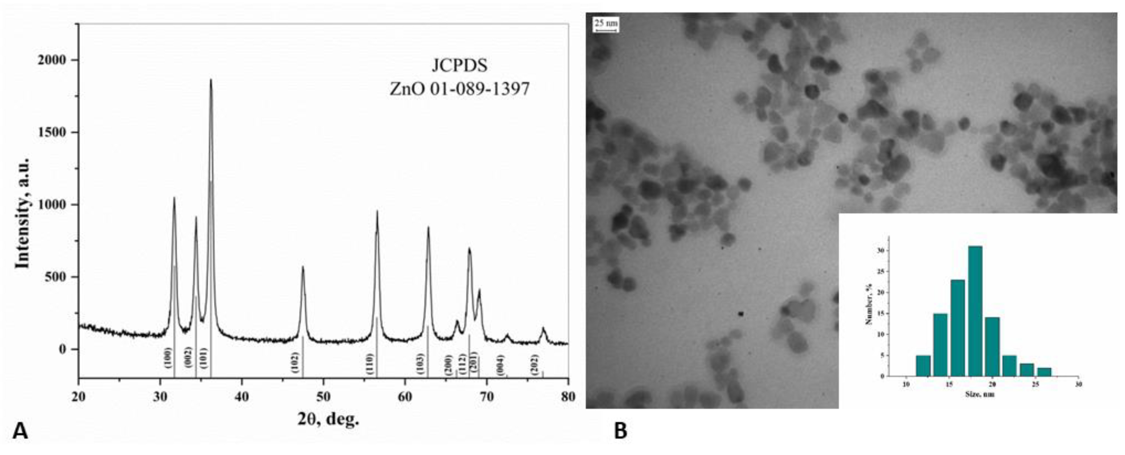 Nanomaterials 10 02401 g001