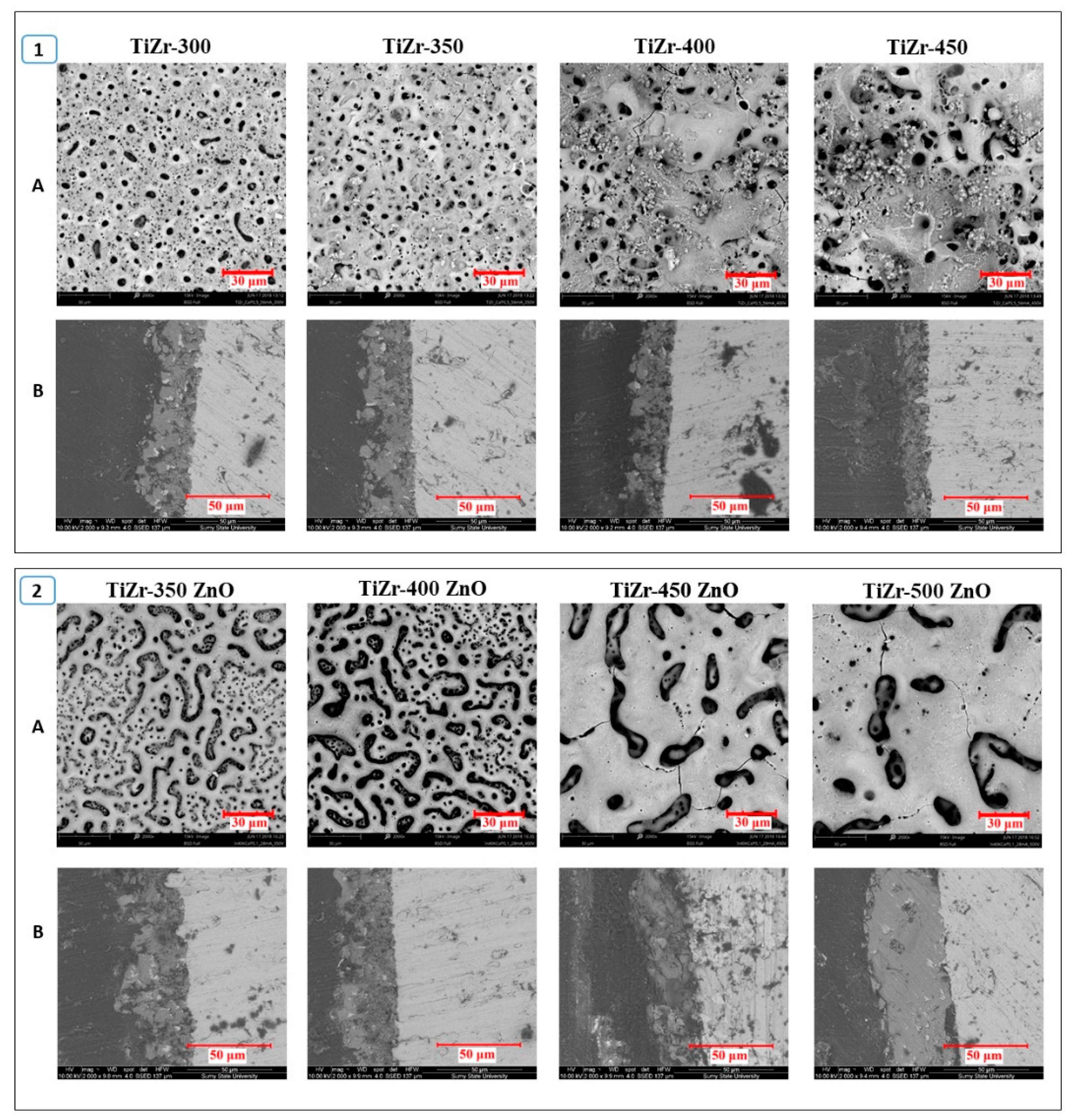 Nanomaterials 10 02401 g002