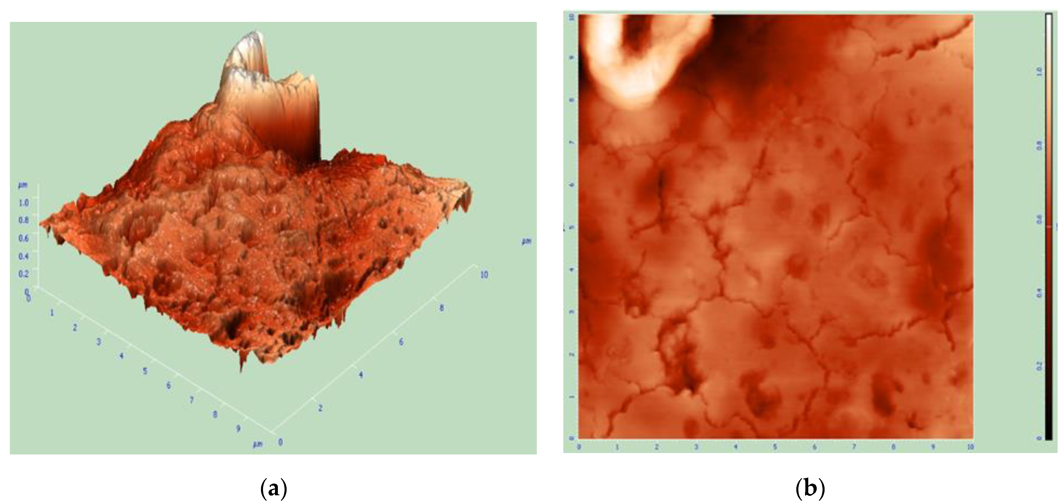 Nanomaterials 10 02402 g005