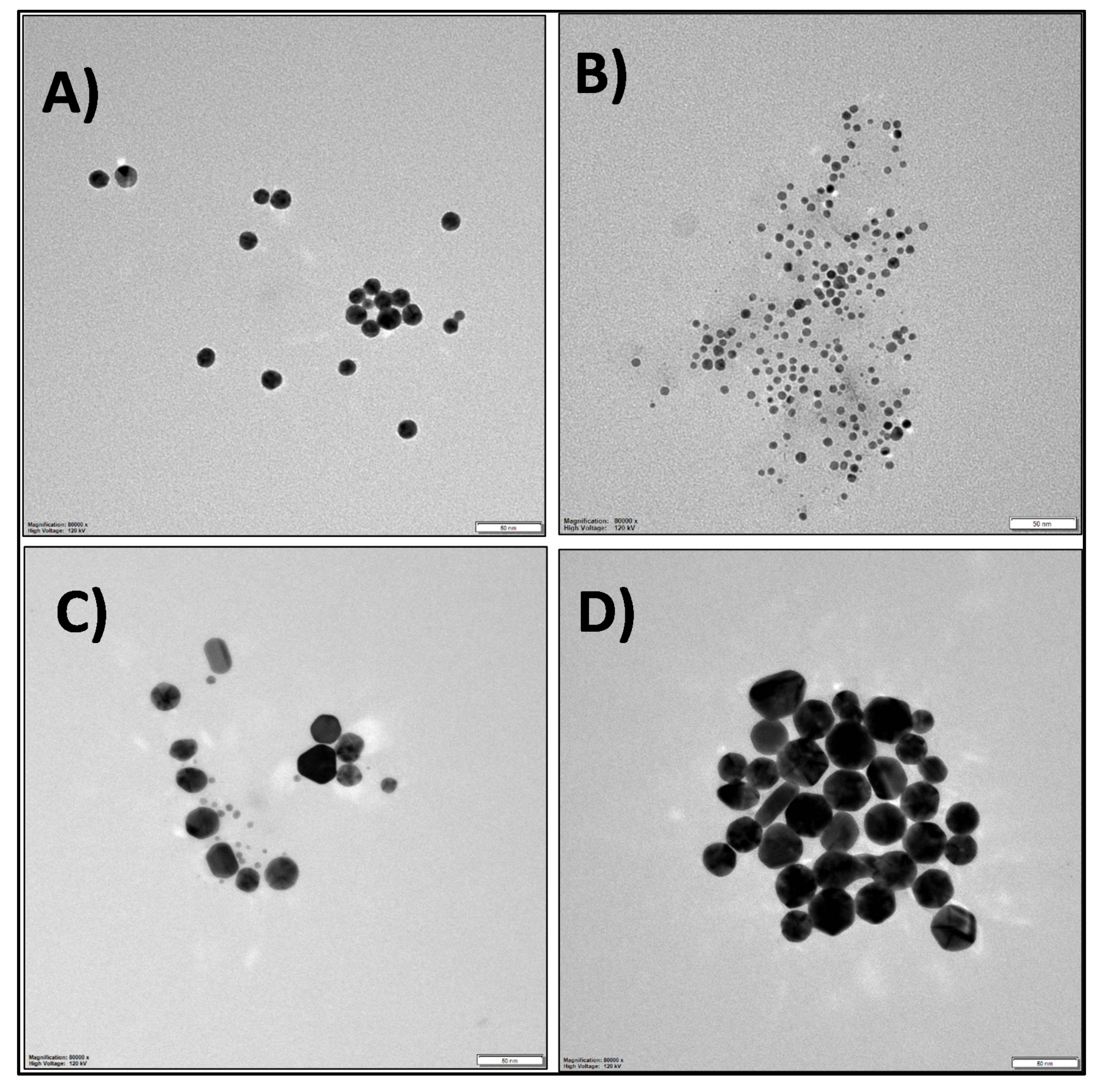 Nanomaterials 10 02404 g003